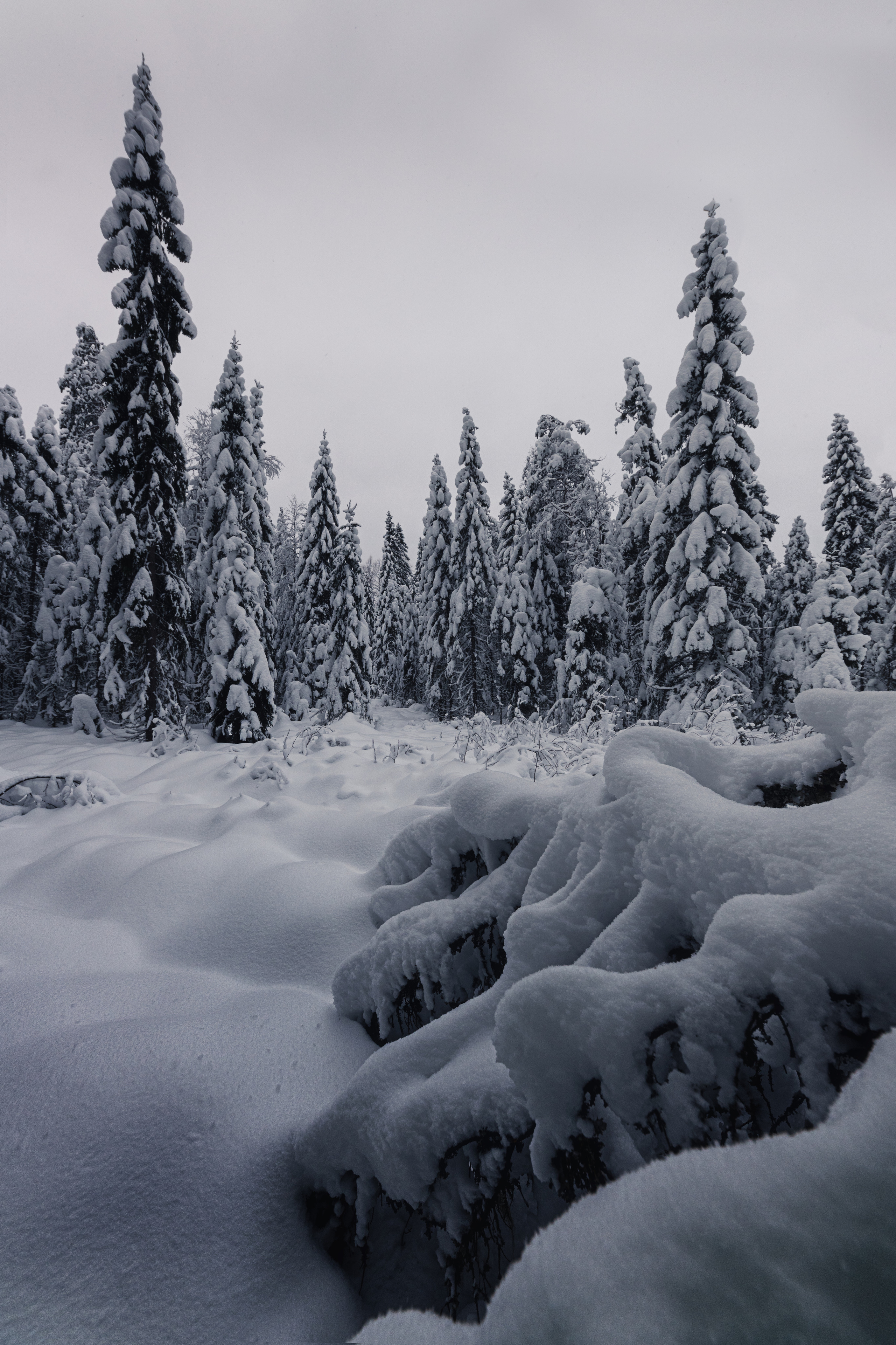 Республика Карелия. Елена Лебедева. Фотограф