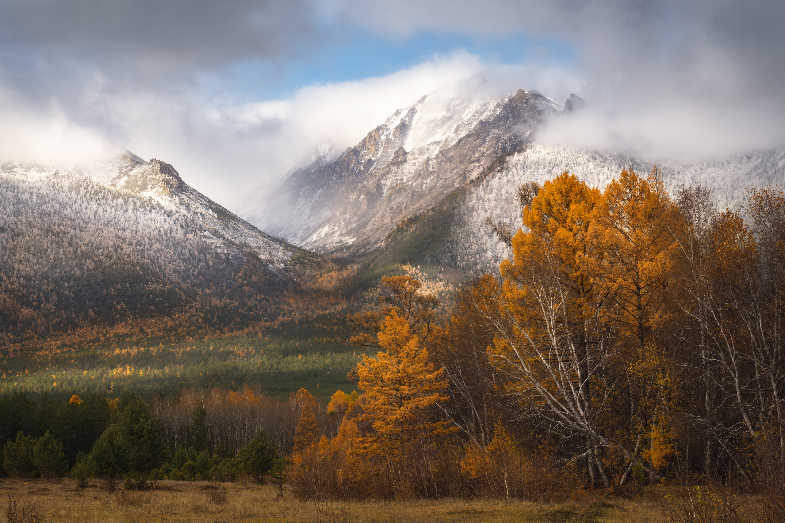Wealth of autumn colour. Ulyun, Barguzin Range in the Barguzin Valley, Buryatia, Russia.