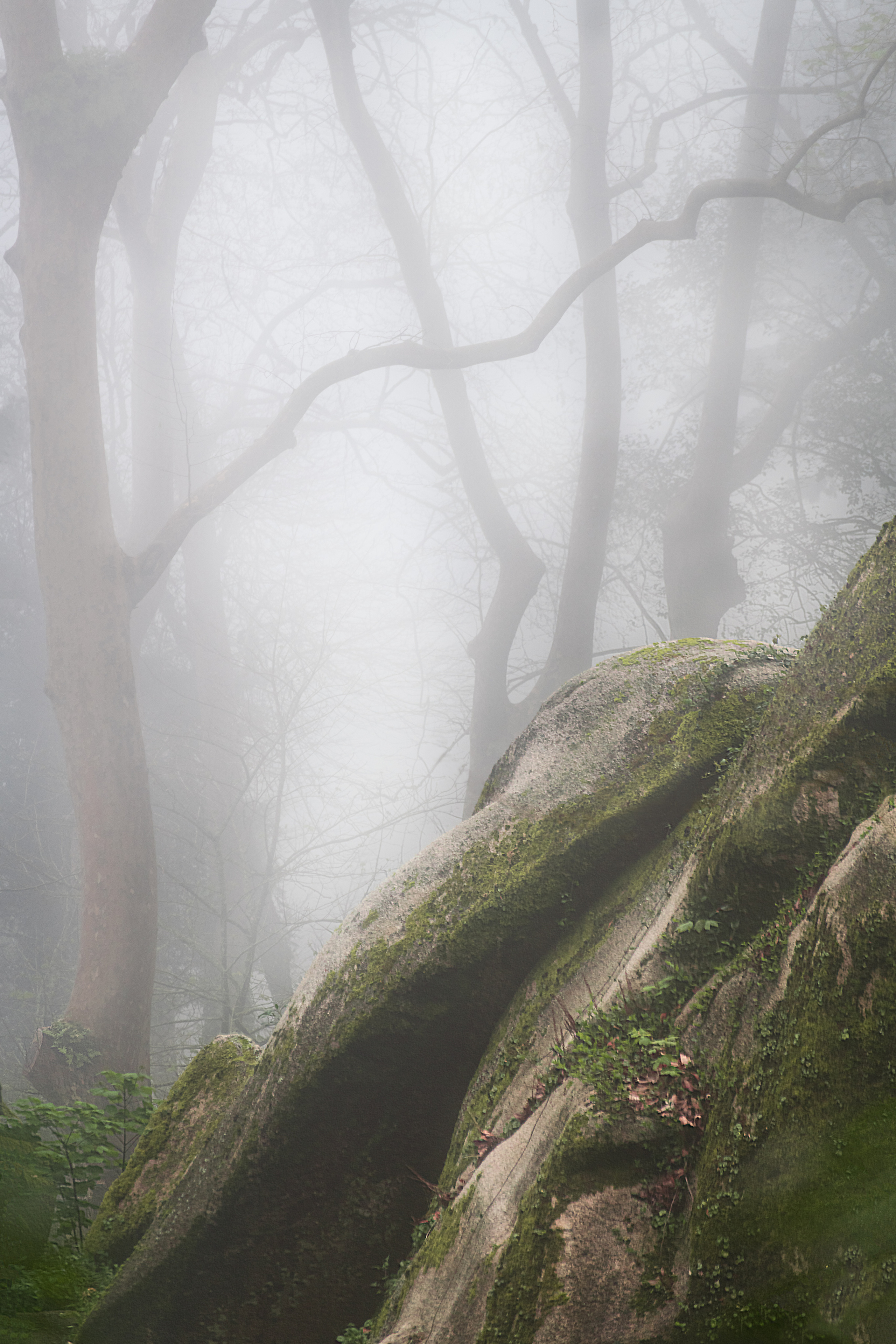 Португалия. Елена Лебедева. Фотограф