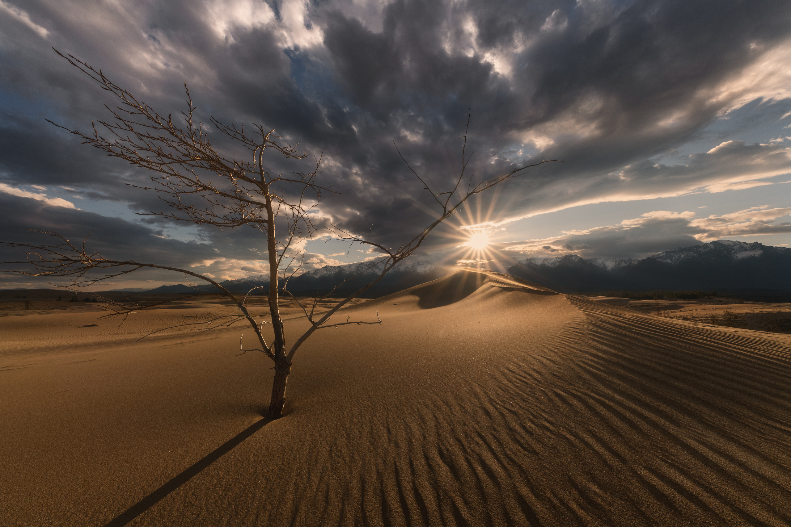 Чарские Пески. Елена Лебедева. Фотограф
