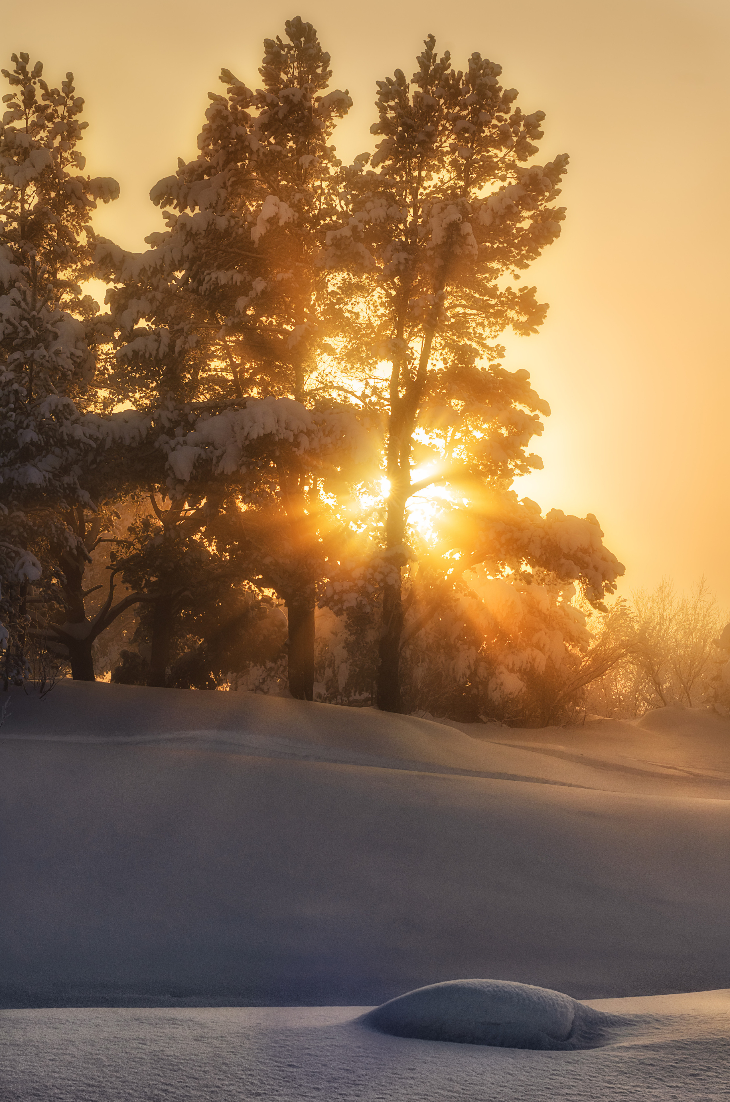Россия разная. Елена Лебедева. Фотограф