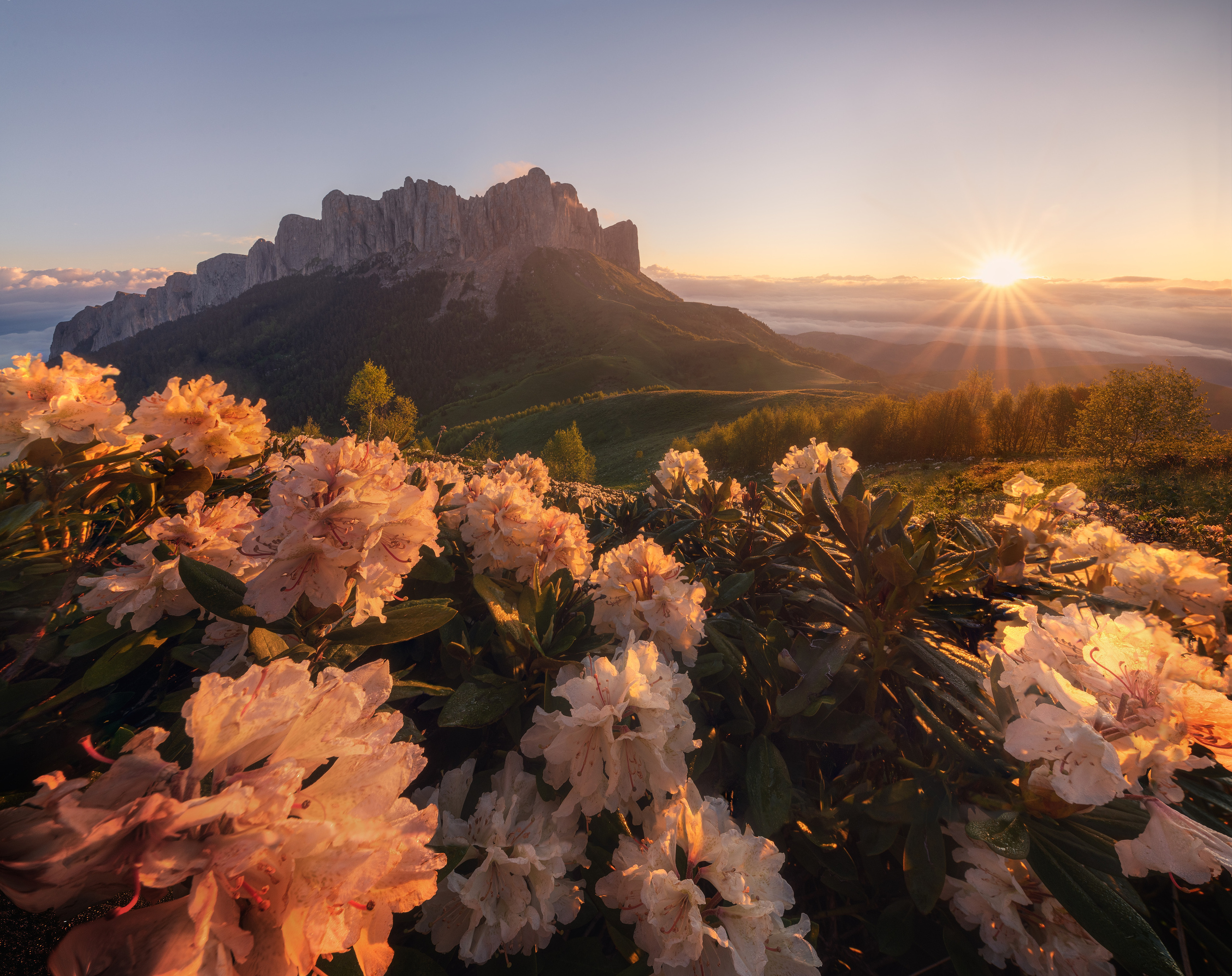 Admiring the sunrise. Bolshoy Thach (Big Thach) nature park, Republic of Adygea, Western Caucasus, Russia