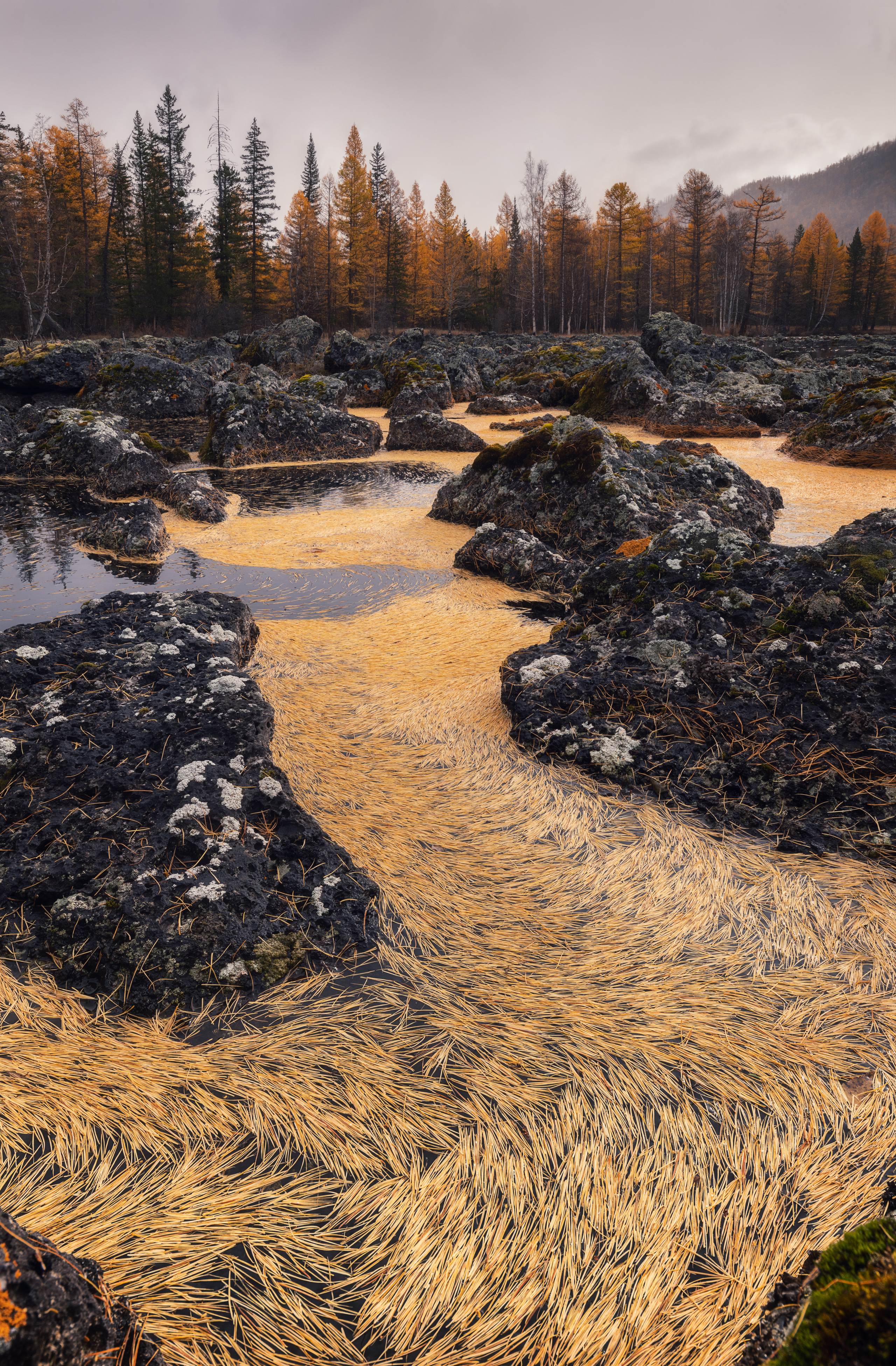 Республика Бурятия. Елена Лебедева. Фотограф