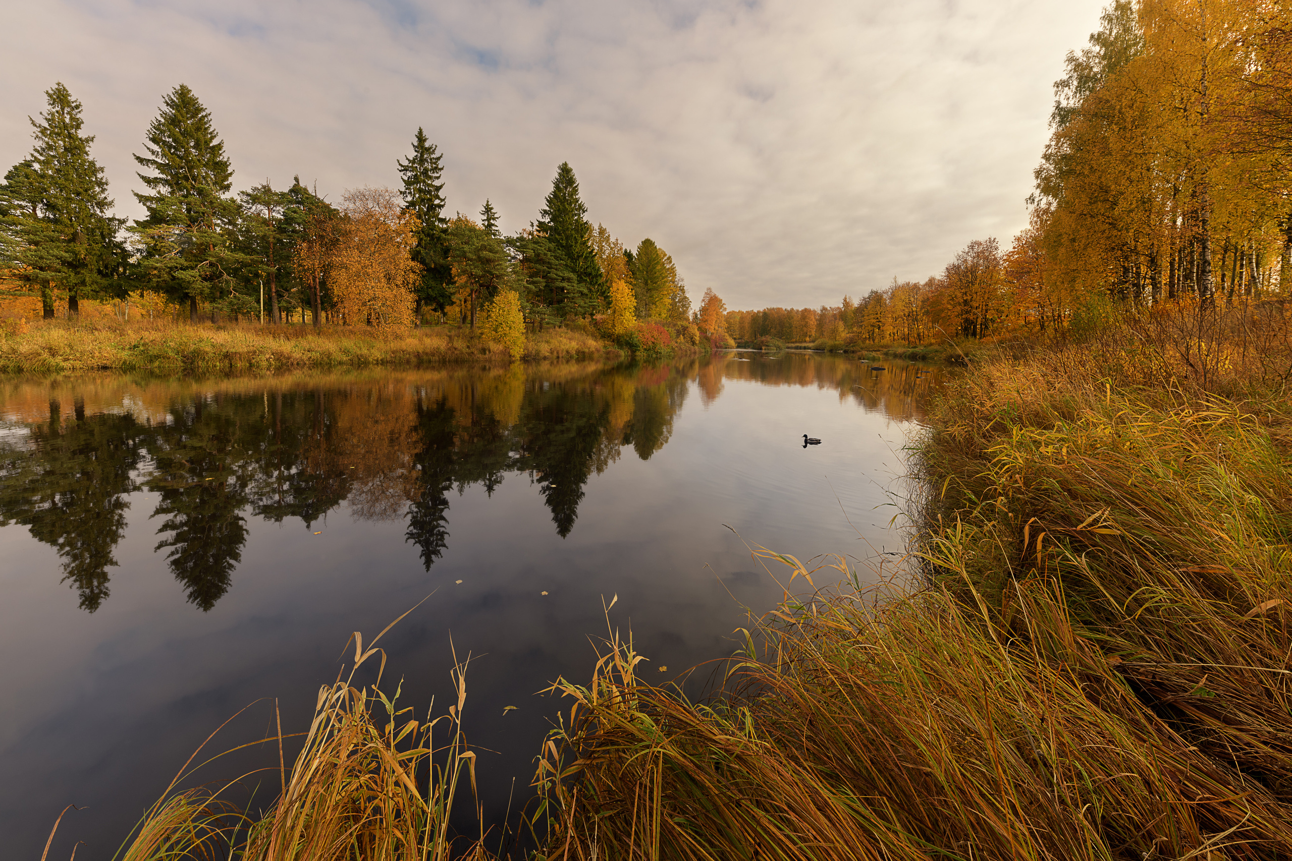 Республика Карелия. Елена Лебедева. Фотограф