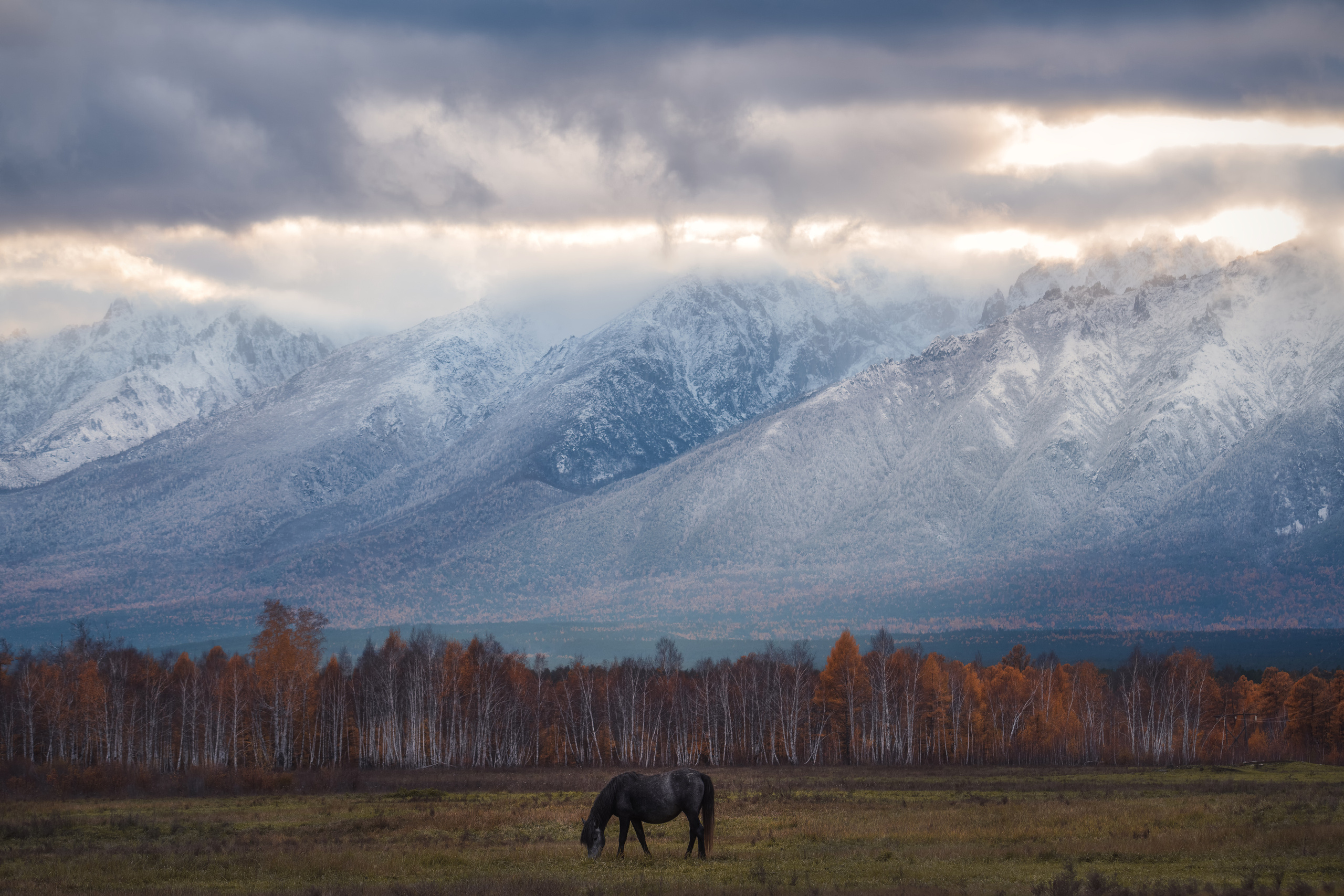 Sunlight isle. Kurumkansky district, the Republic of Buryatia, Russia.