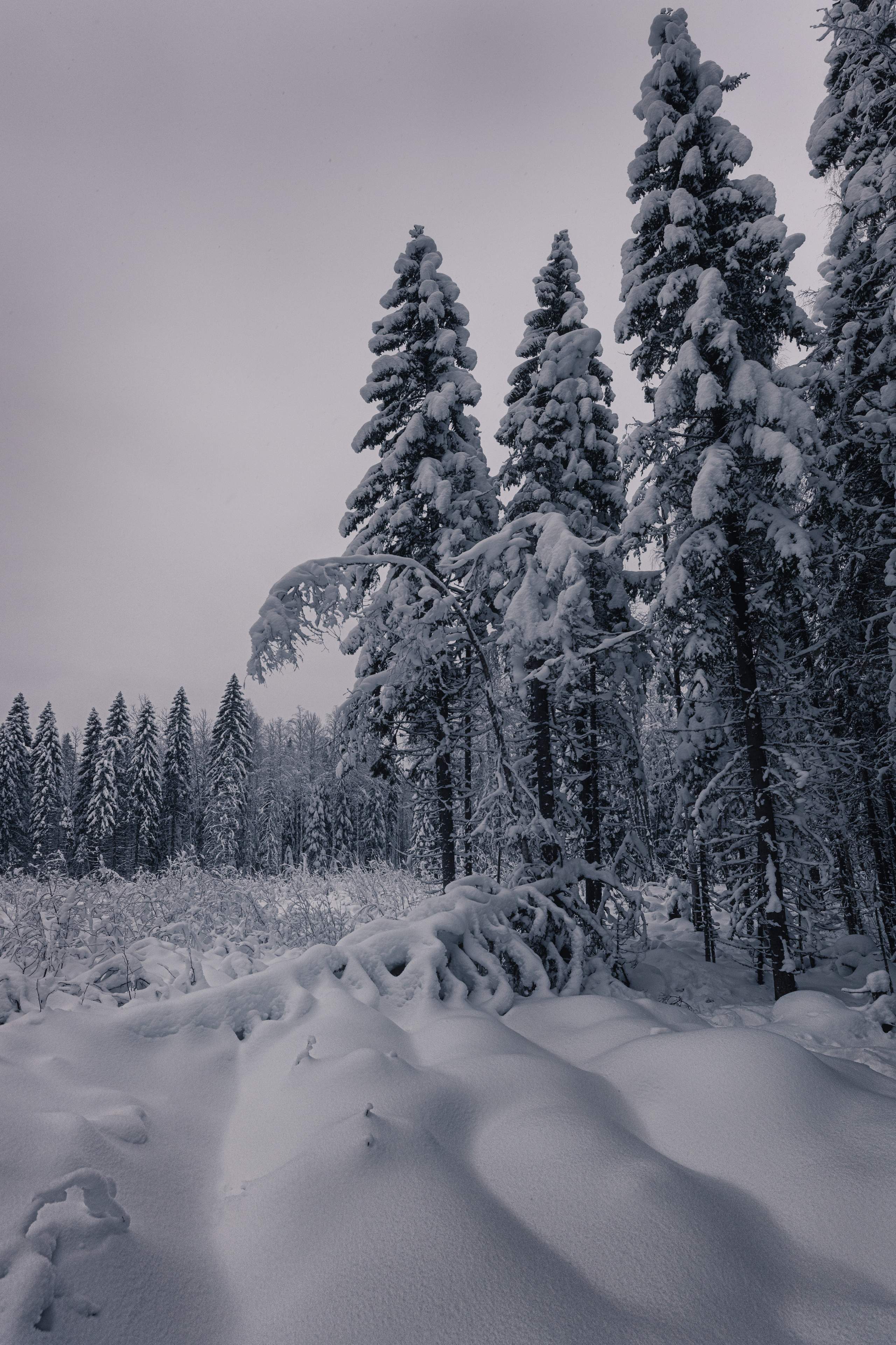 Республика Карелия. Елена Лебедева. Фотограф