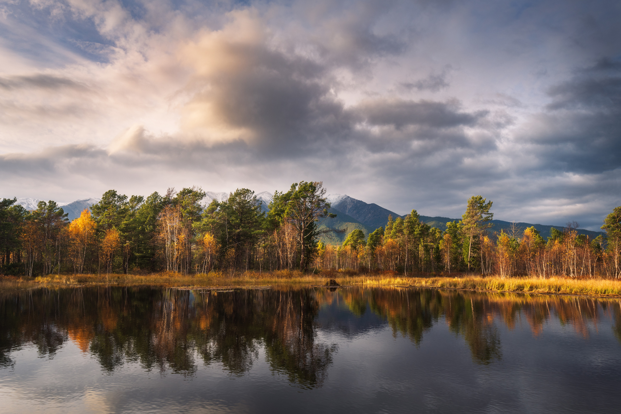 The autumn celebration. Barguzin State Nature Biosphere Reserve, Chivyrkuisky Isthmus, Barguzinsky district, the Republic of Buryatia, Russia.