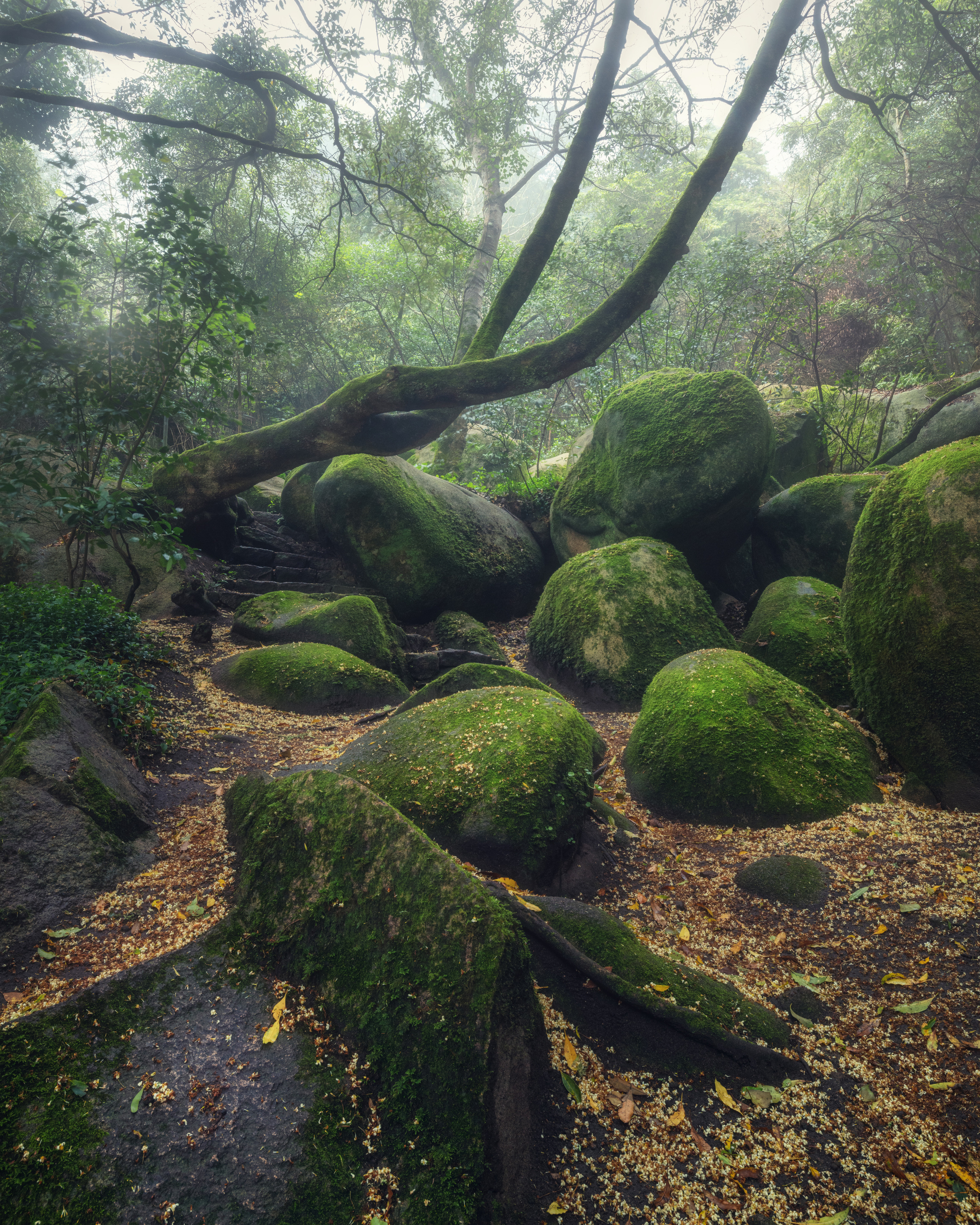 Португалия. Елена Лебедева. Фотограф