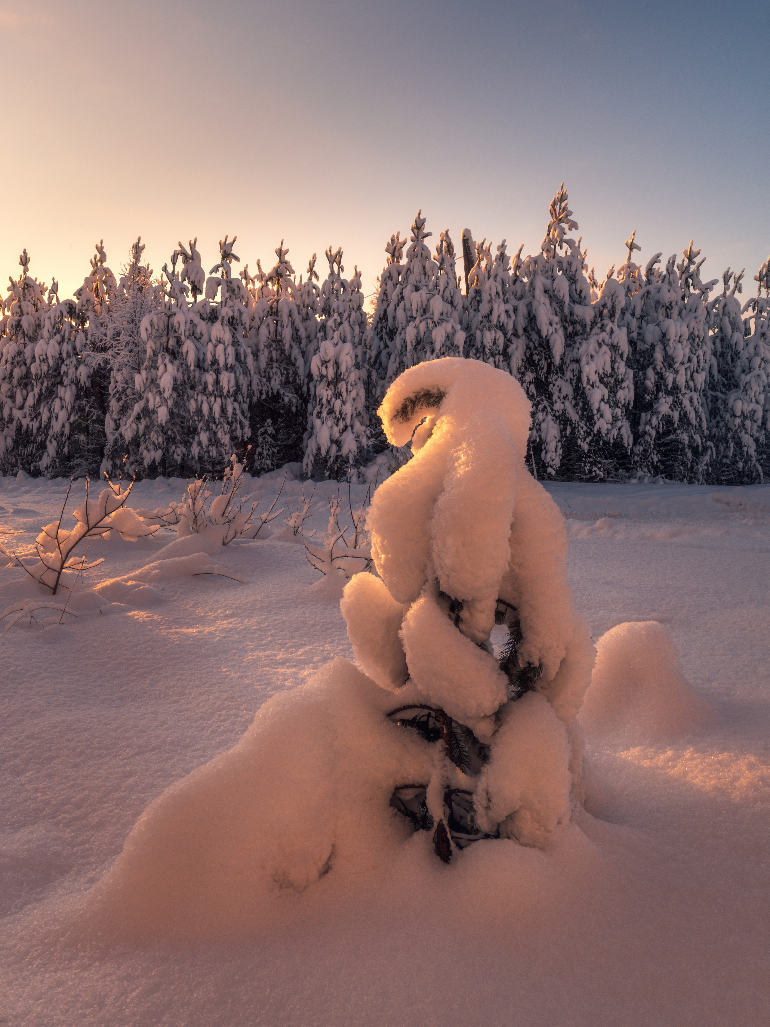 Республика Карелия. Елена Лебедева. Фотограф