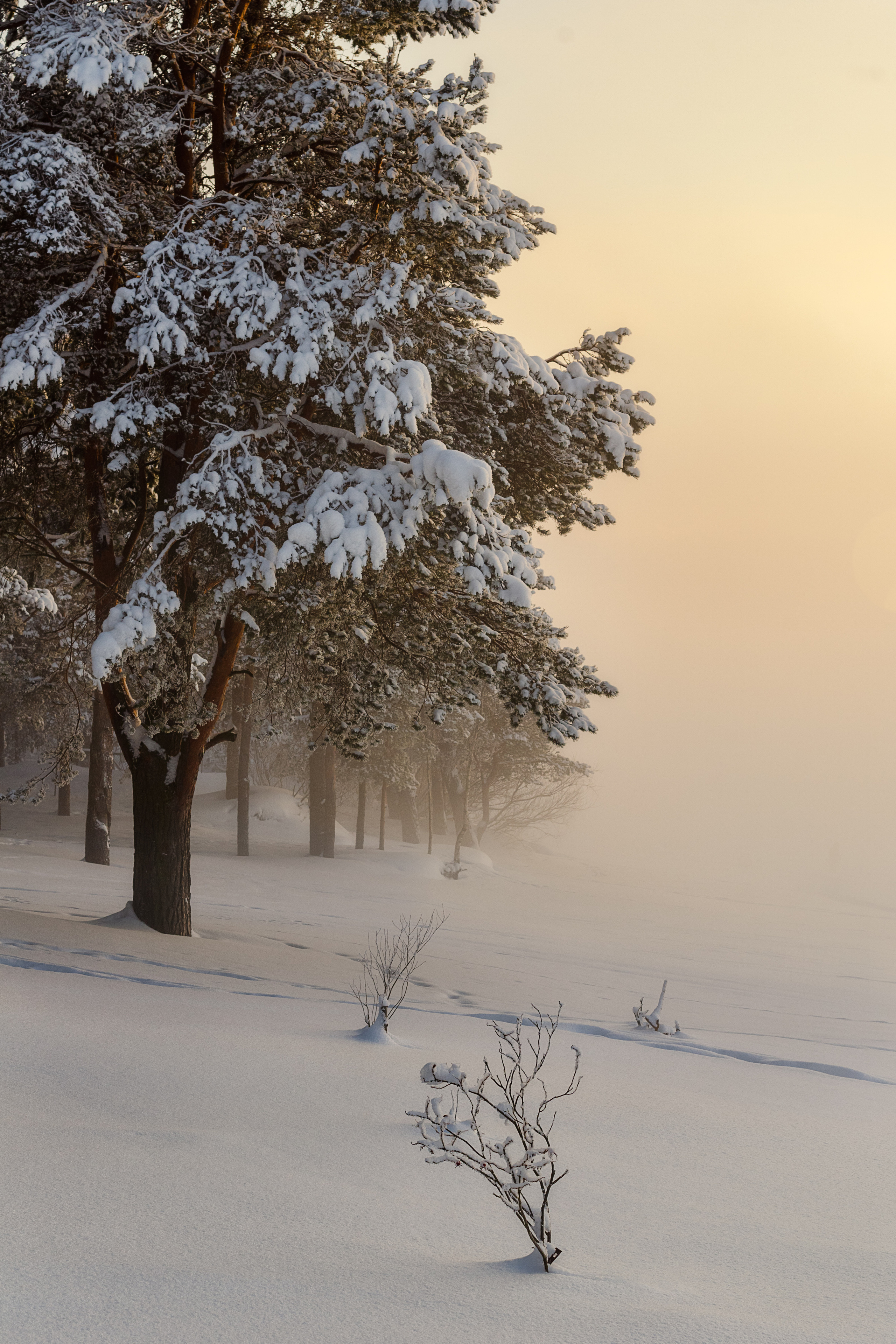 Россия разная. Елена Лебедева. Фотограф