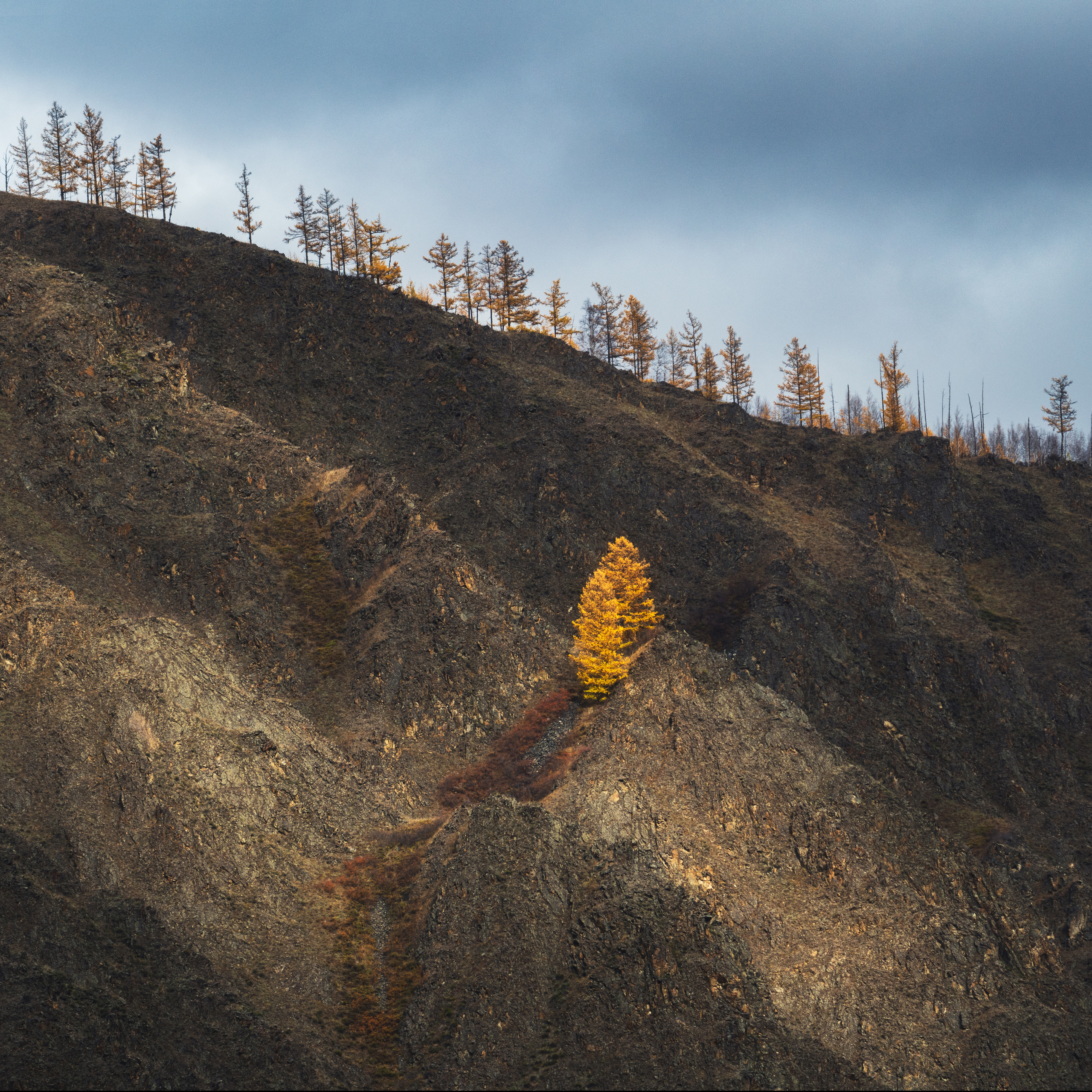 Catching the light. The Okinsky district in the the Eastern Sayan Mountains, the Republic of Buryatia, Russia.