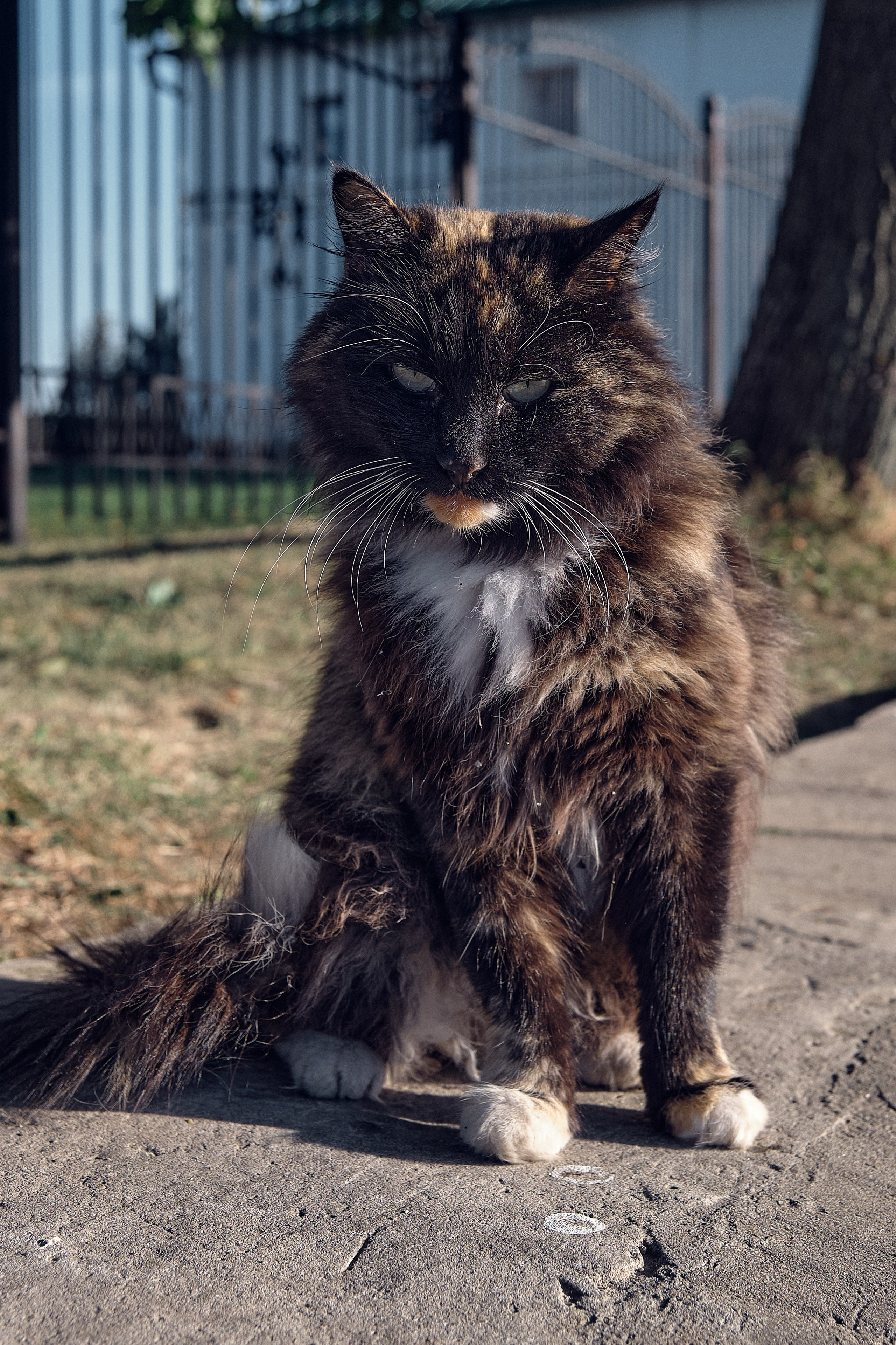 Suzdal City / The Golden Ring of Russia. Aleksandr Kobtsev