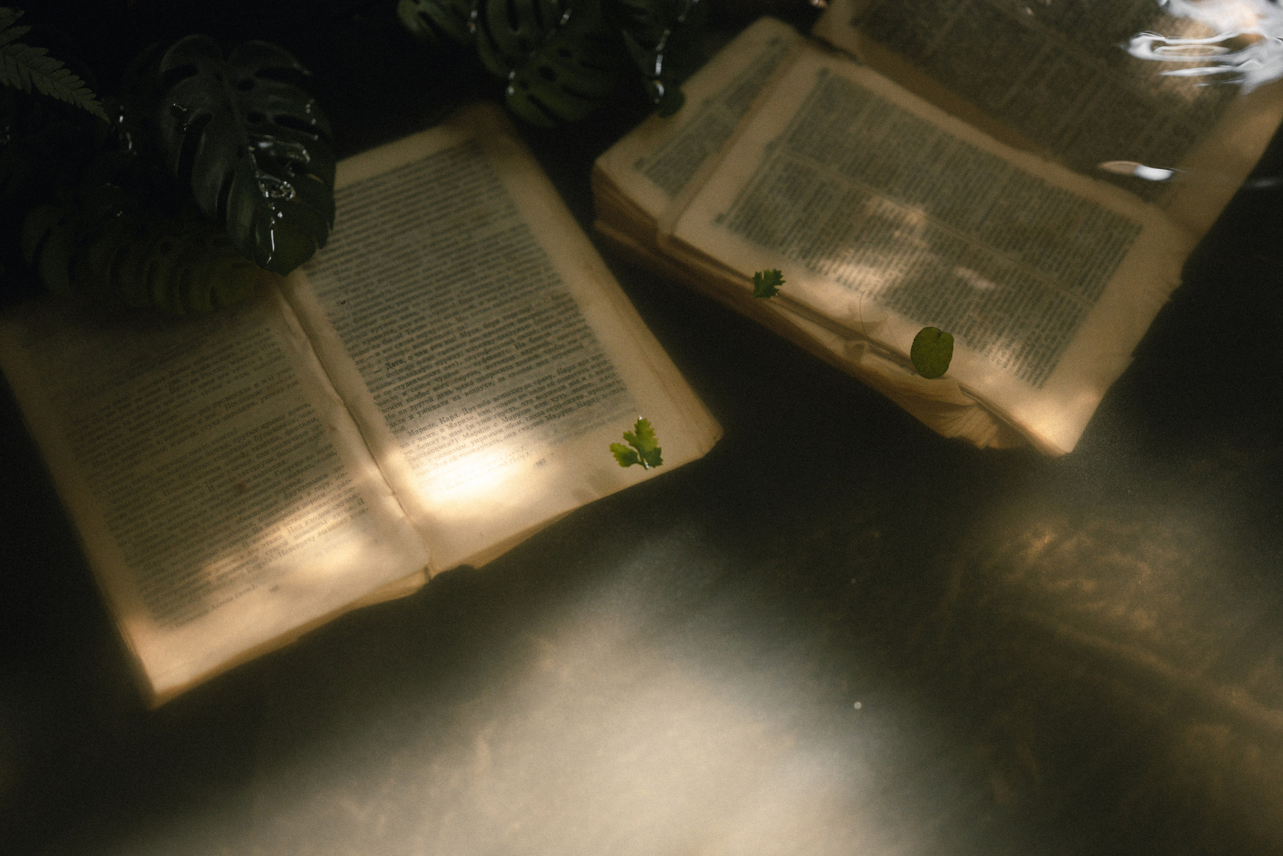 The flooded house. Фотограф в Москве Hellga Raf Хельга Раф