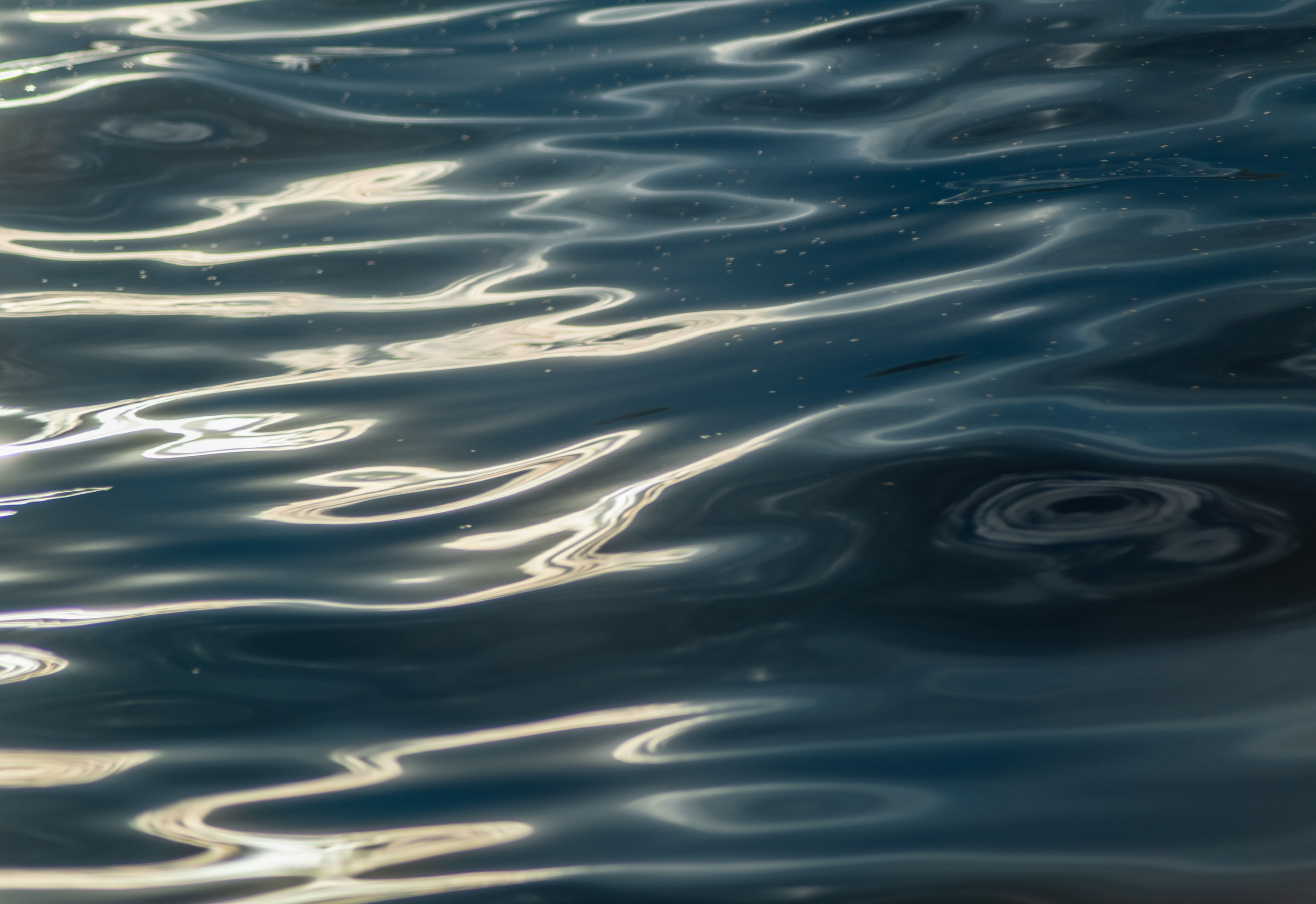 Природа Самарской области в кадре. Дикие степи, Жигулёвские горы и волжские просторы — авторские фотографии уникальных ландшафтов. Фотограф Самара — репортажная, свадебная, интерьерная съёмка от Ильи Петрова, профессионала своего дела