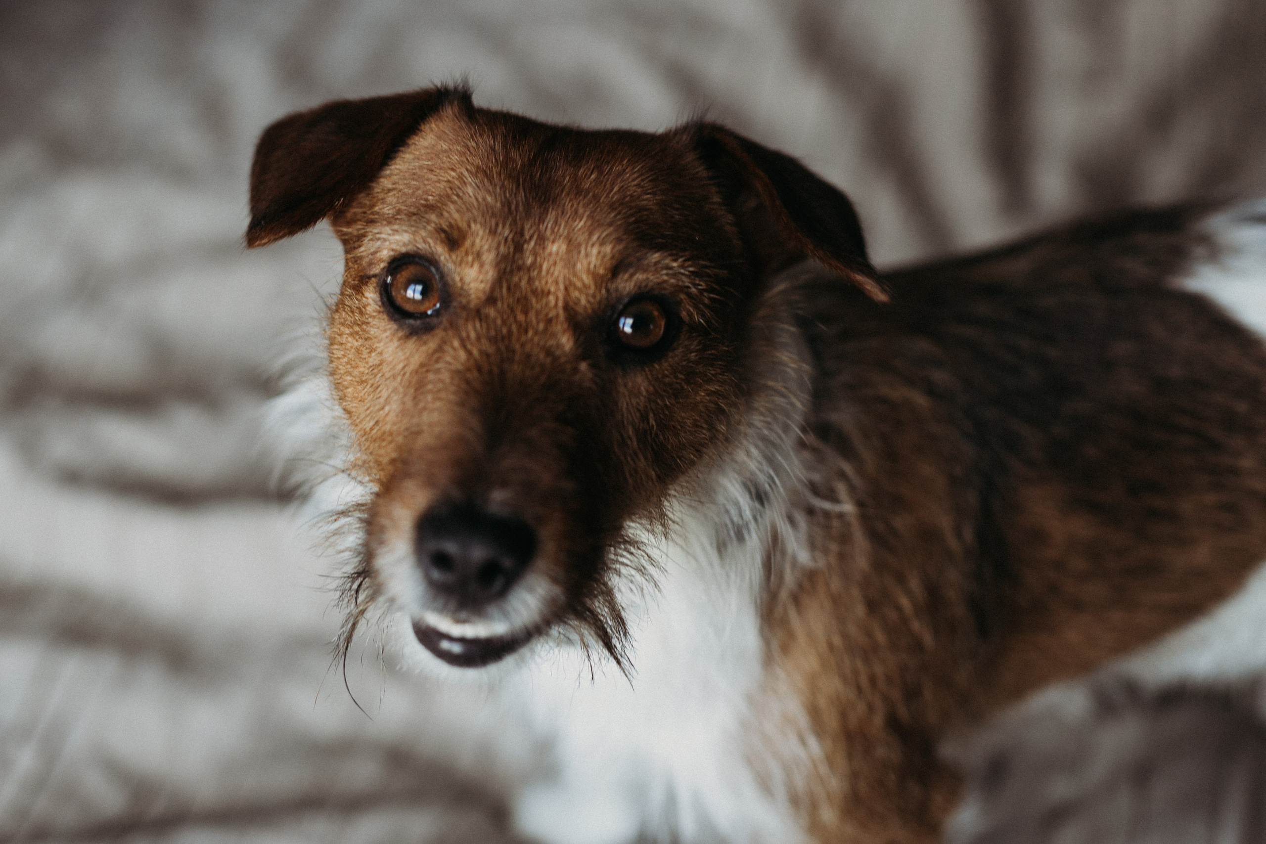 Алиса, Леша, Яся, Соня, Лев. Фотограф Людмила Оюн