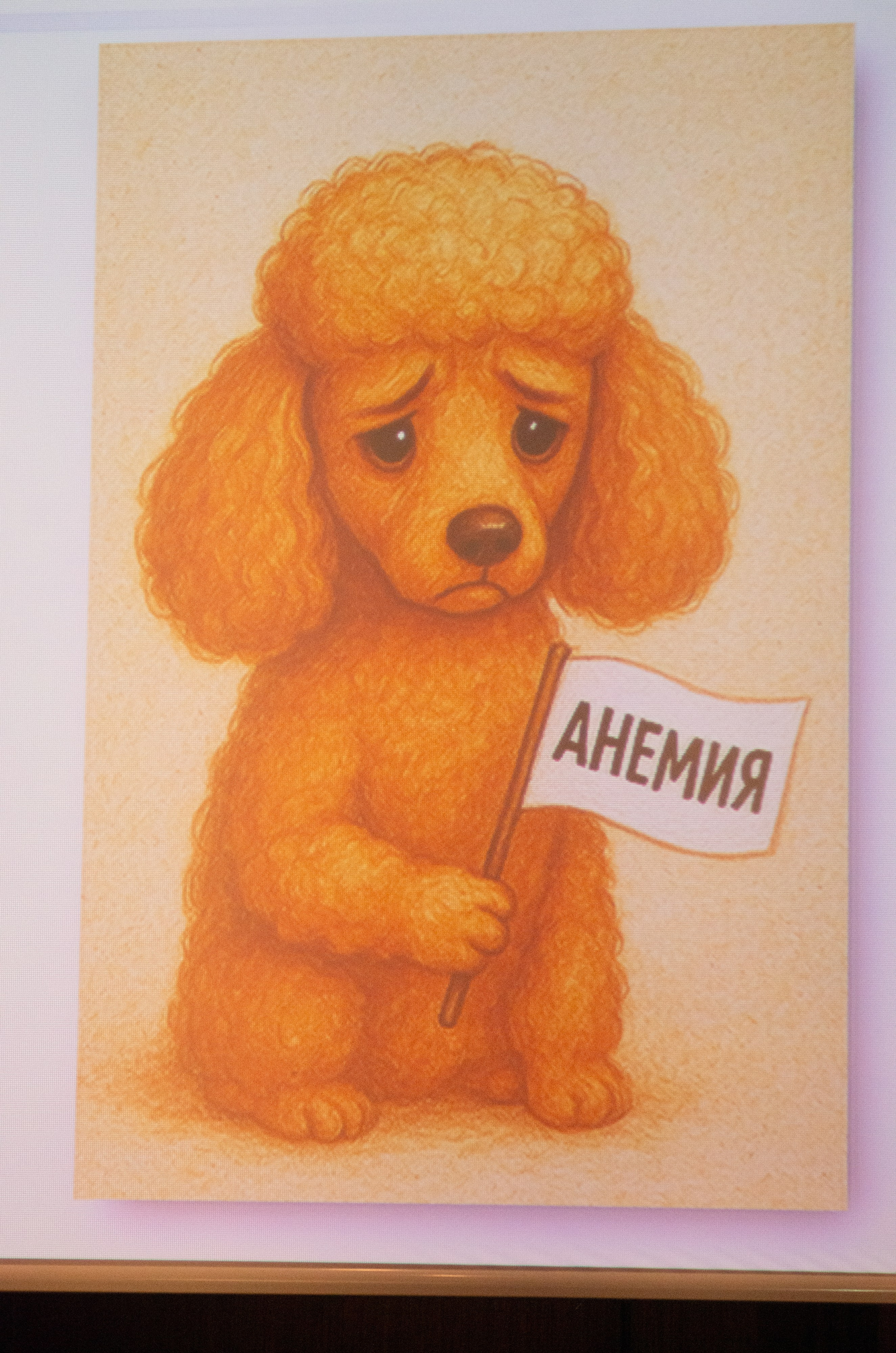 VIII Карельская ветеринарная конференция. Портретный фотограф Денис Милютин