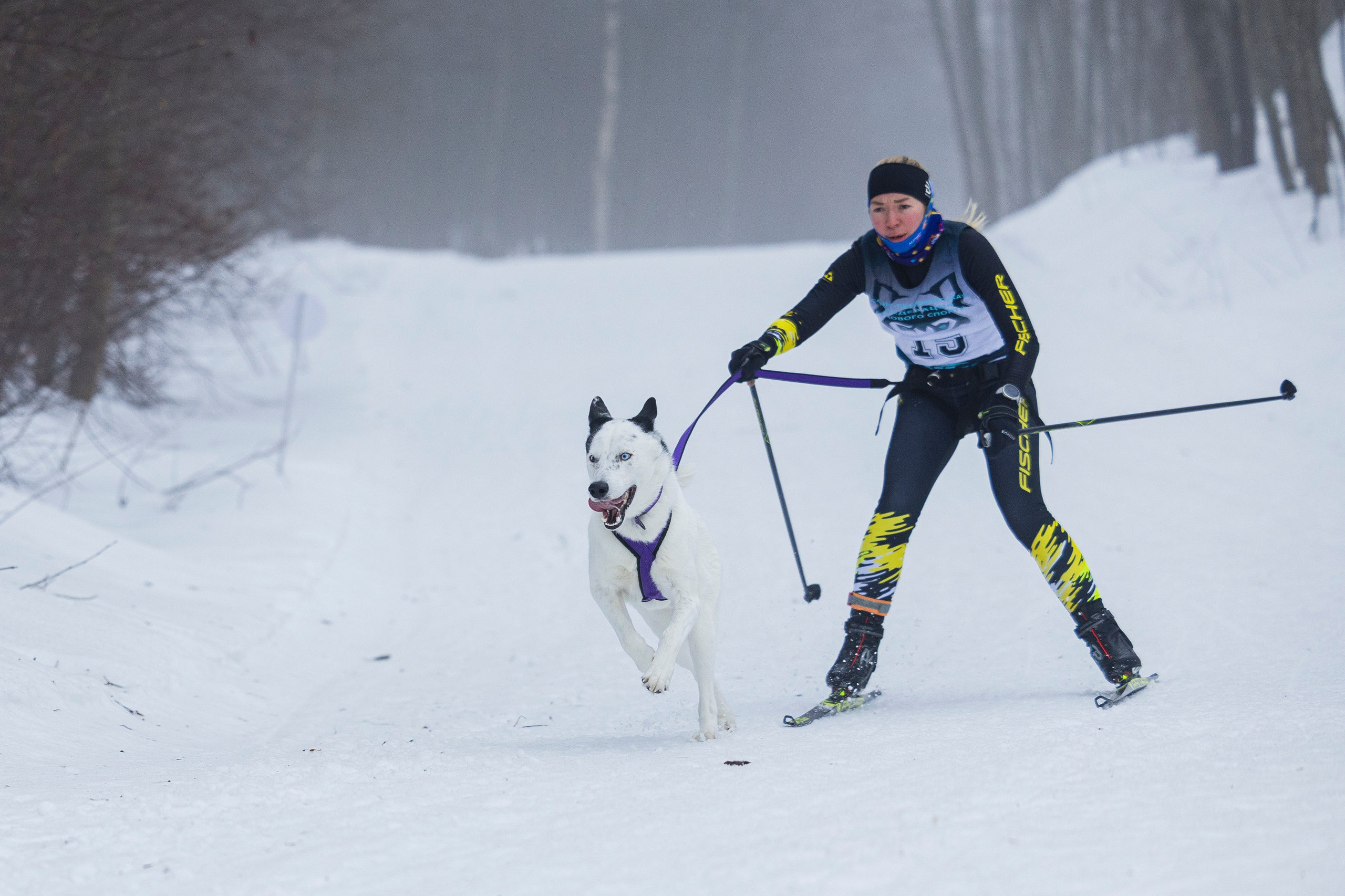 Зимний Чемпионат Санкт-Петербурга по ездовому спорту. Фотограф-анималист Анна Маринич