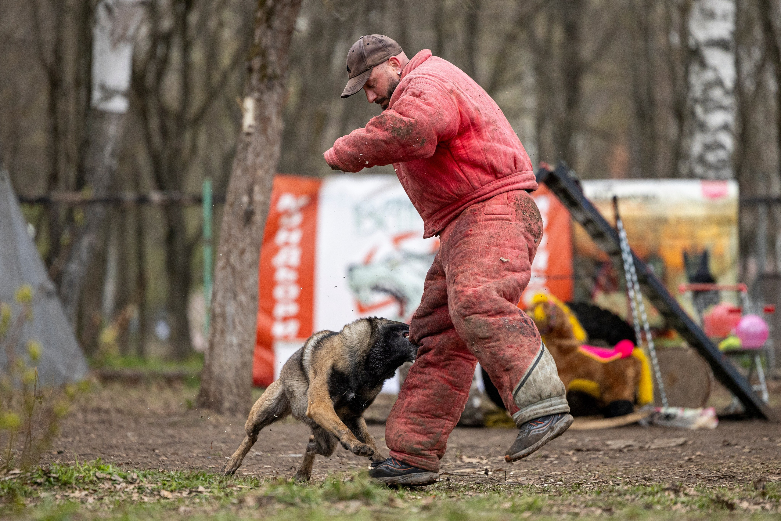Квалификационные состязания по мондьорингу г. Вологда 11.05.24. Фотограф-анималист Анна Маринич