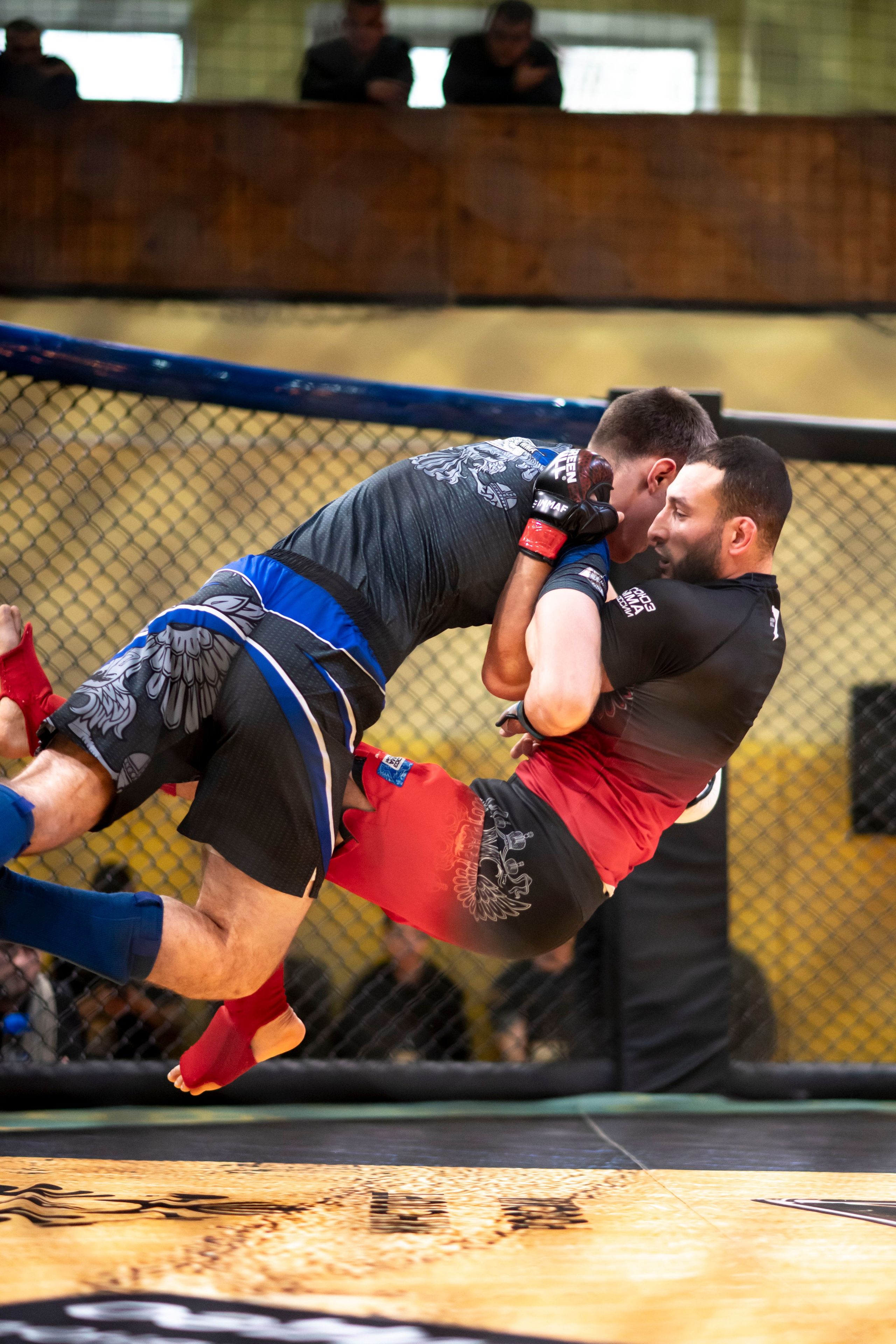 Всероссийский турнир ММА. Новомосковск, ноябрь 2025. Спортивный фотограф в Туле и Тульской области. Файсханова Фото Спорт