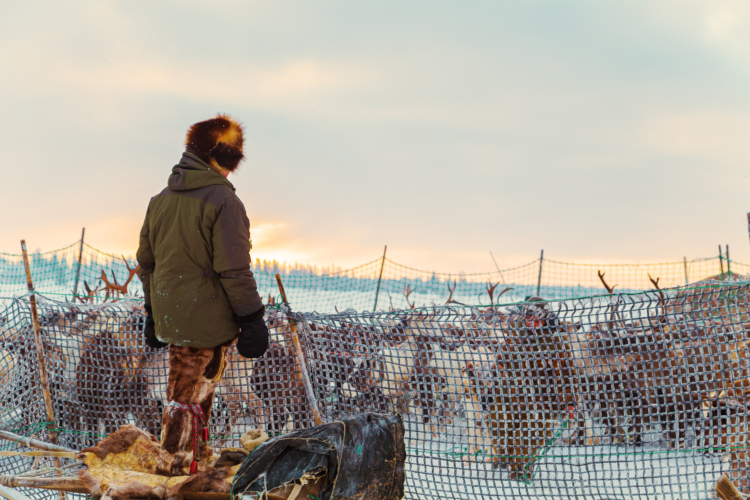 Ненецкий автономный округ. Тревел-фотограф Елизавета Ларионова
