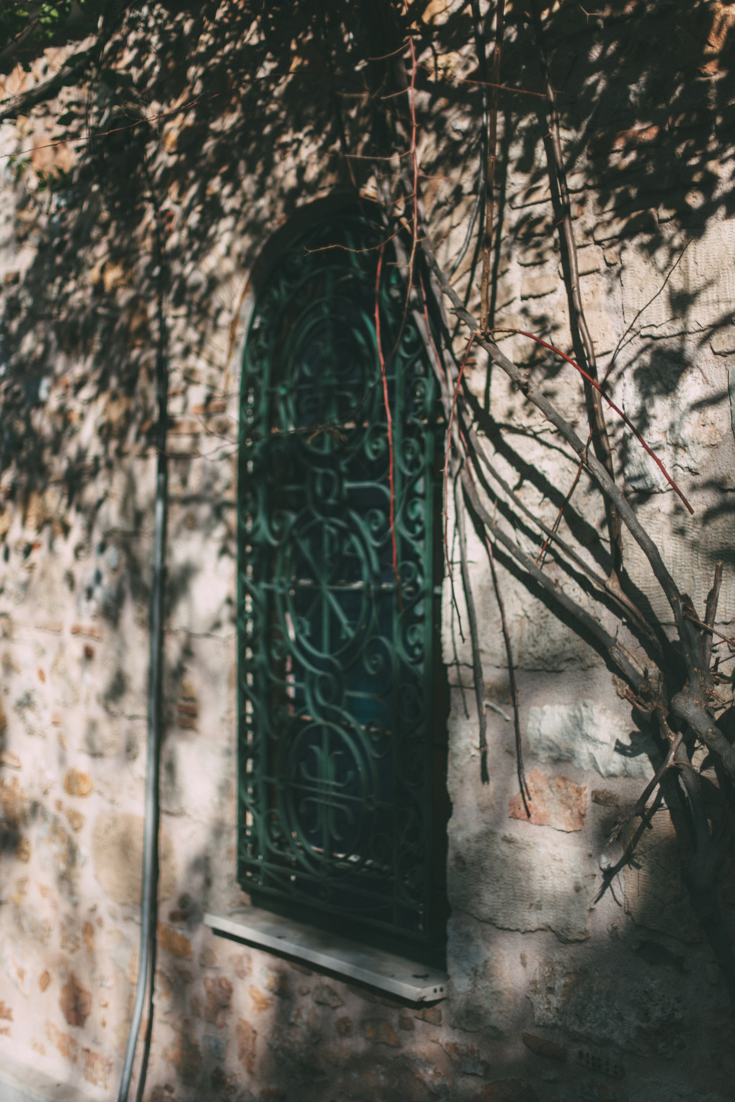 Афины. Аня Степанова