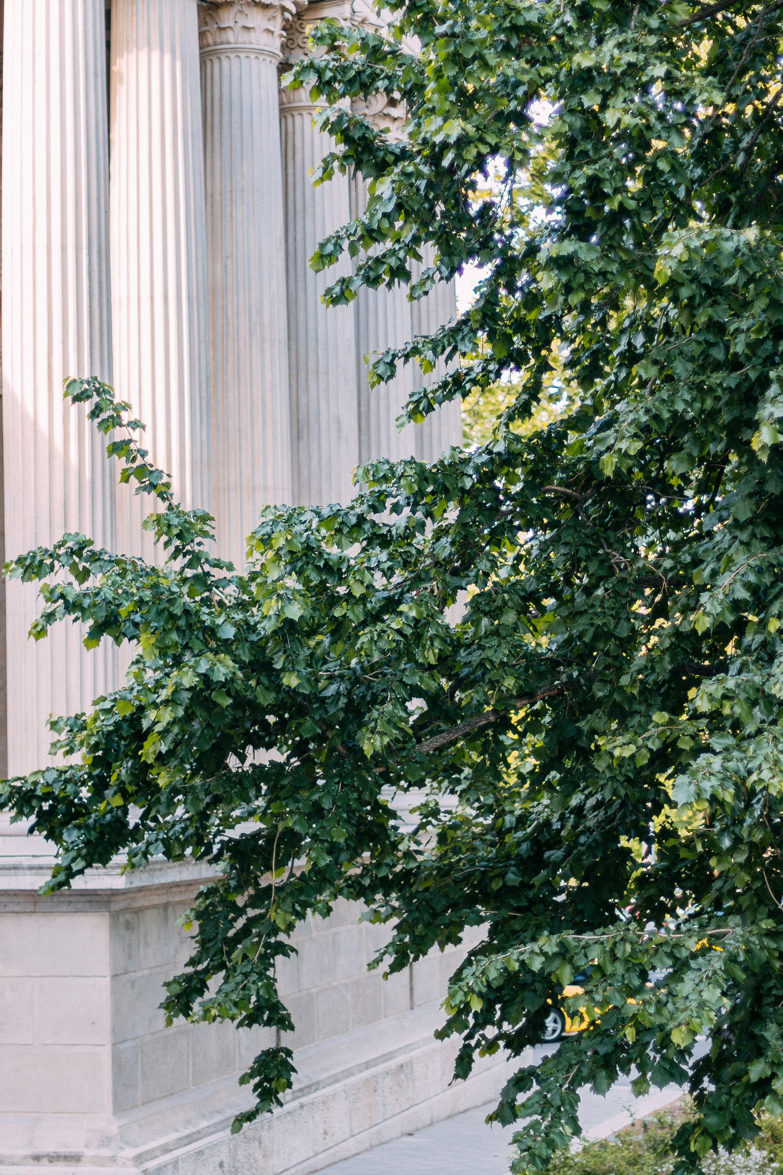 Будапешт. Аня Степанова