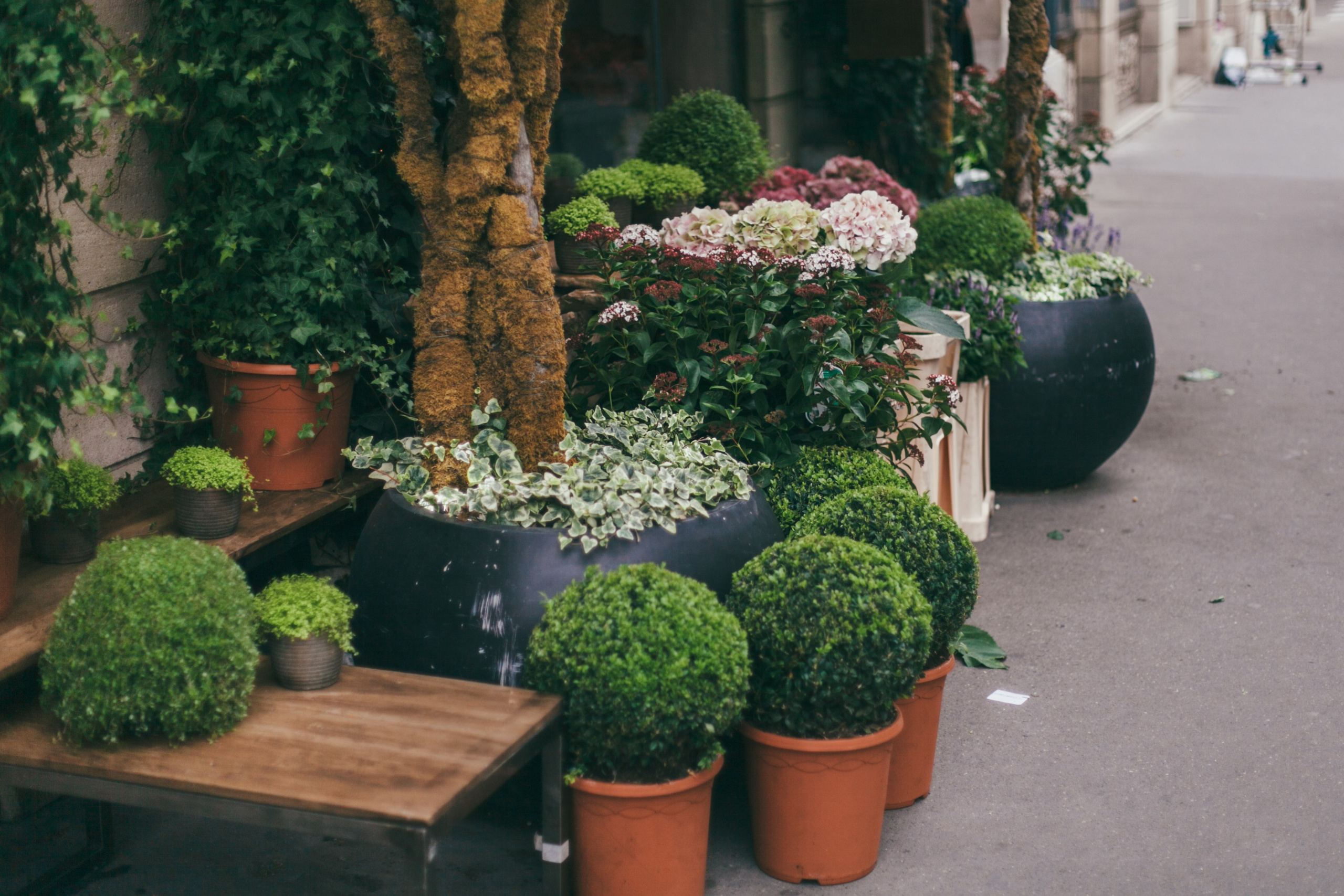 Париж. Аня Степанова