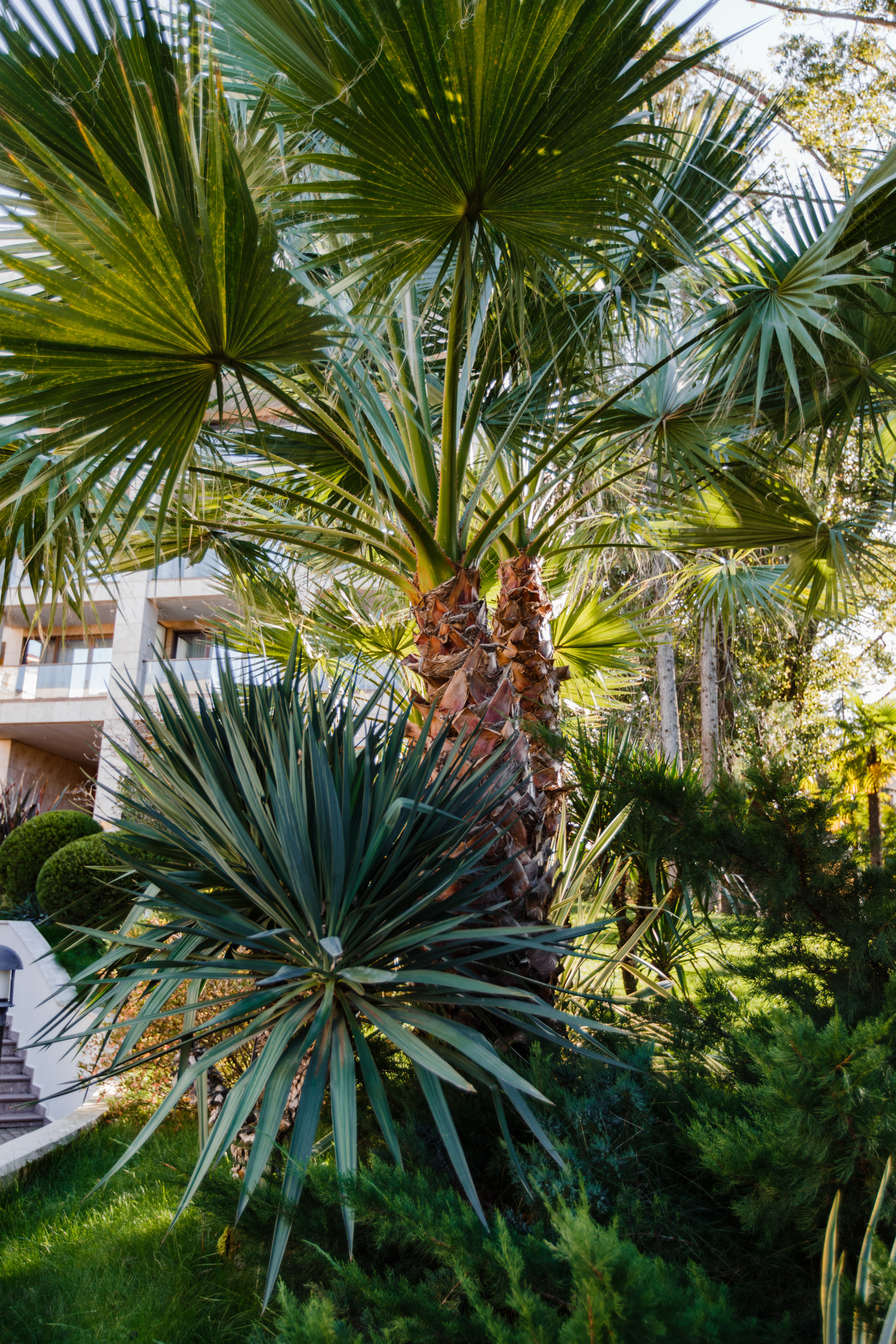 Свадебная фотосессия на природе и в интерьерах Краснодара. Фотограф в Краснодаре Анна Худокормова. Свадебные, семейные, детские фотосессии