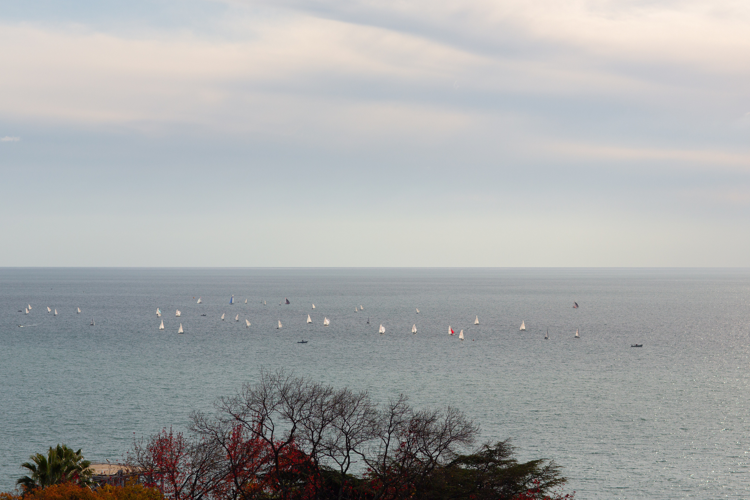 Свадебная фотосессия на природе и в интерьерах Краснодара. Фотограф в Краснодаре Анна Худокормова. Свадебные, семейные, детские фотосессии