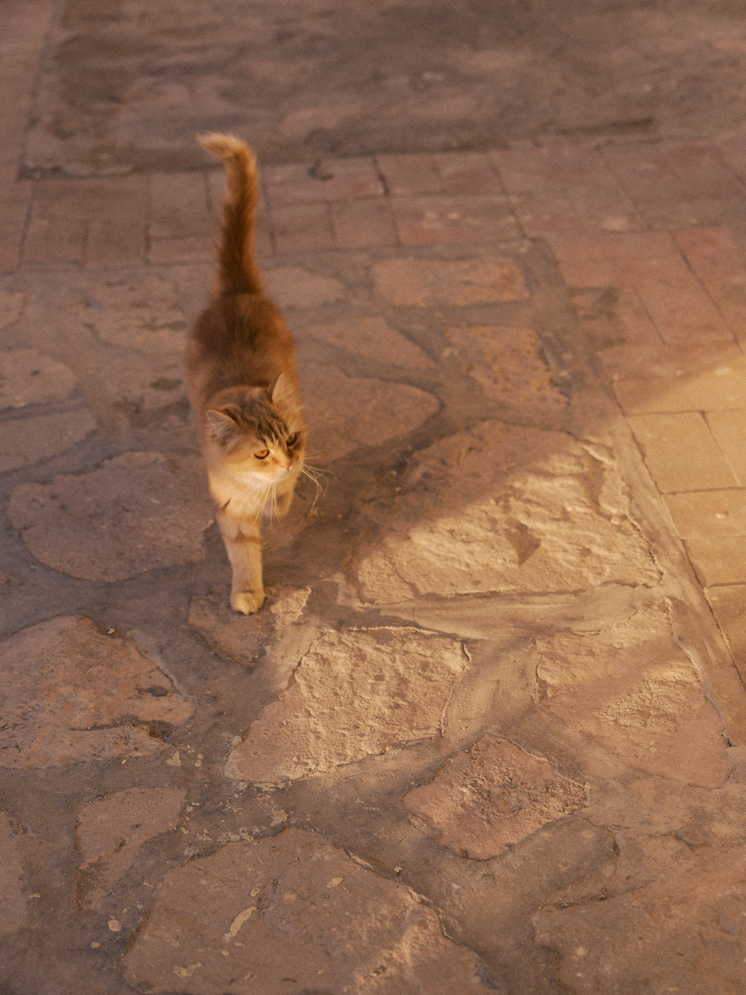 Другое 2. Jorgis Talè — photographer, kind person, teacher of arts and other mag