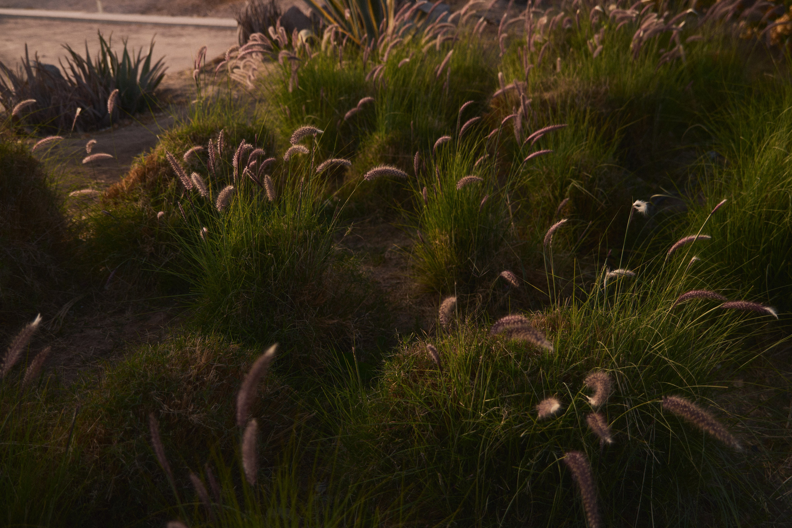 Улица горизонтальная. Jorgis — фотограф в Хургаде / обучение фотографии