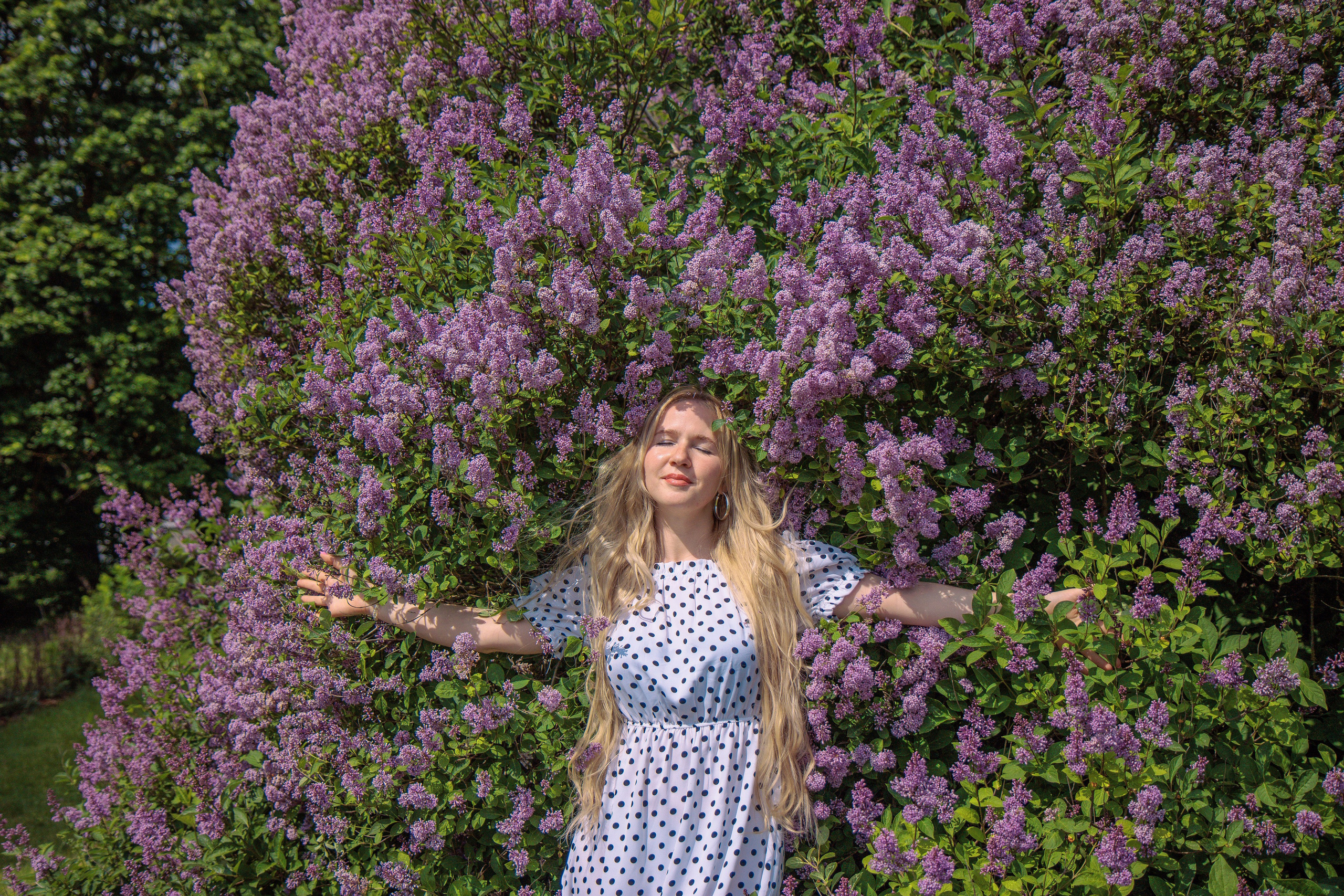 Сиреневые этюды. Фотография Елена