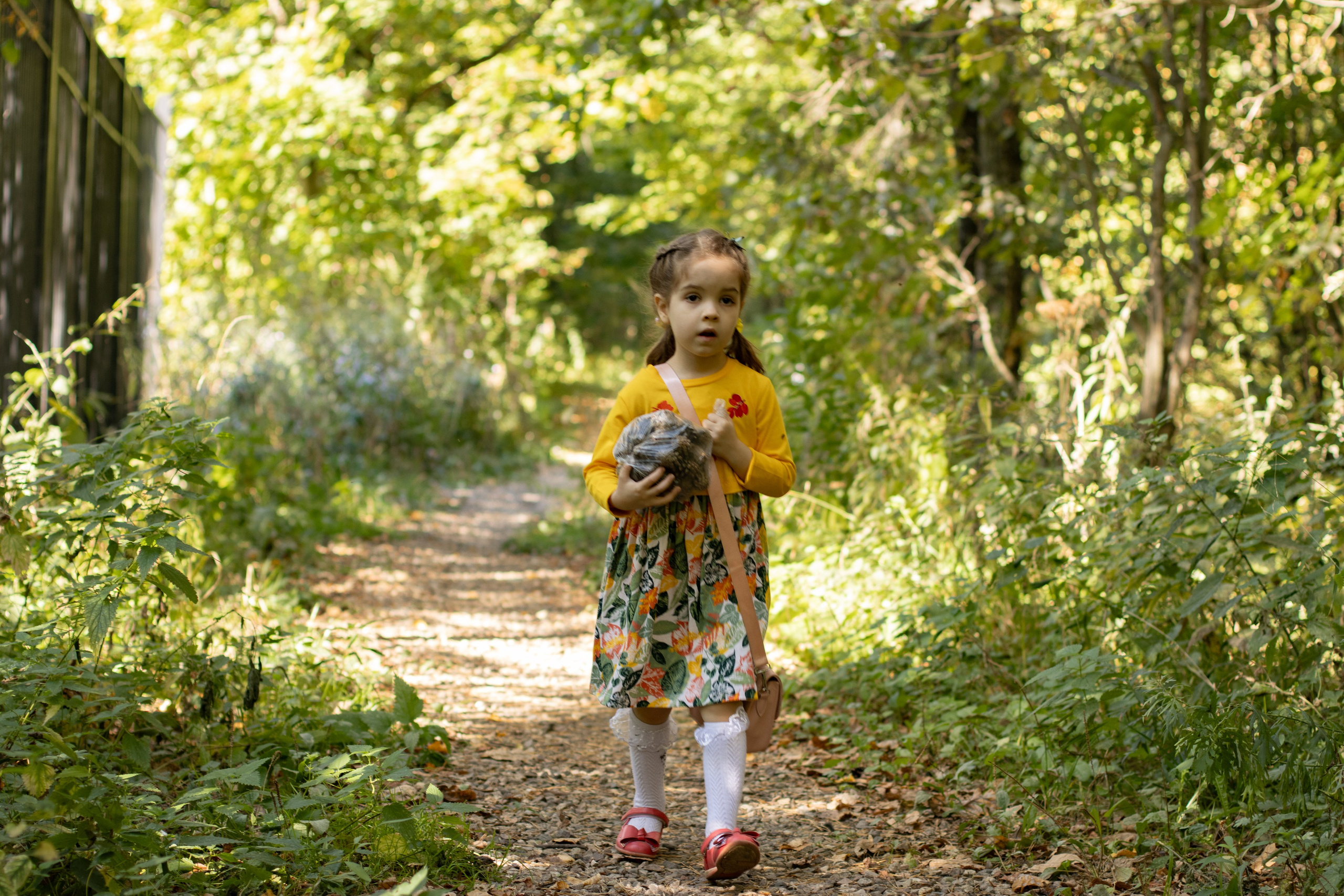 Саша и Маша лесная прогулка. Главная