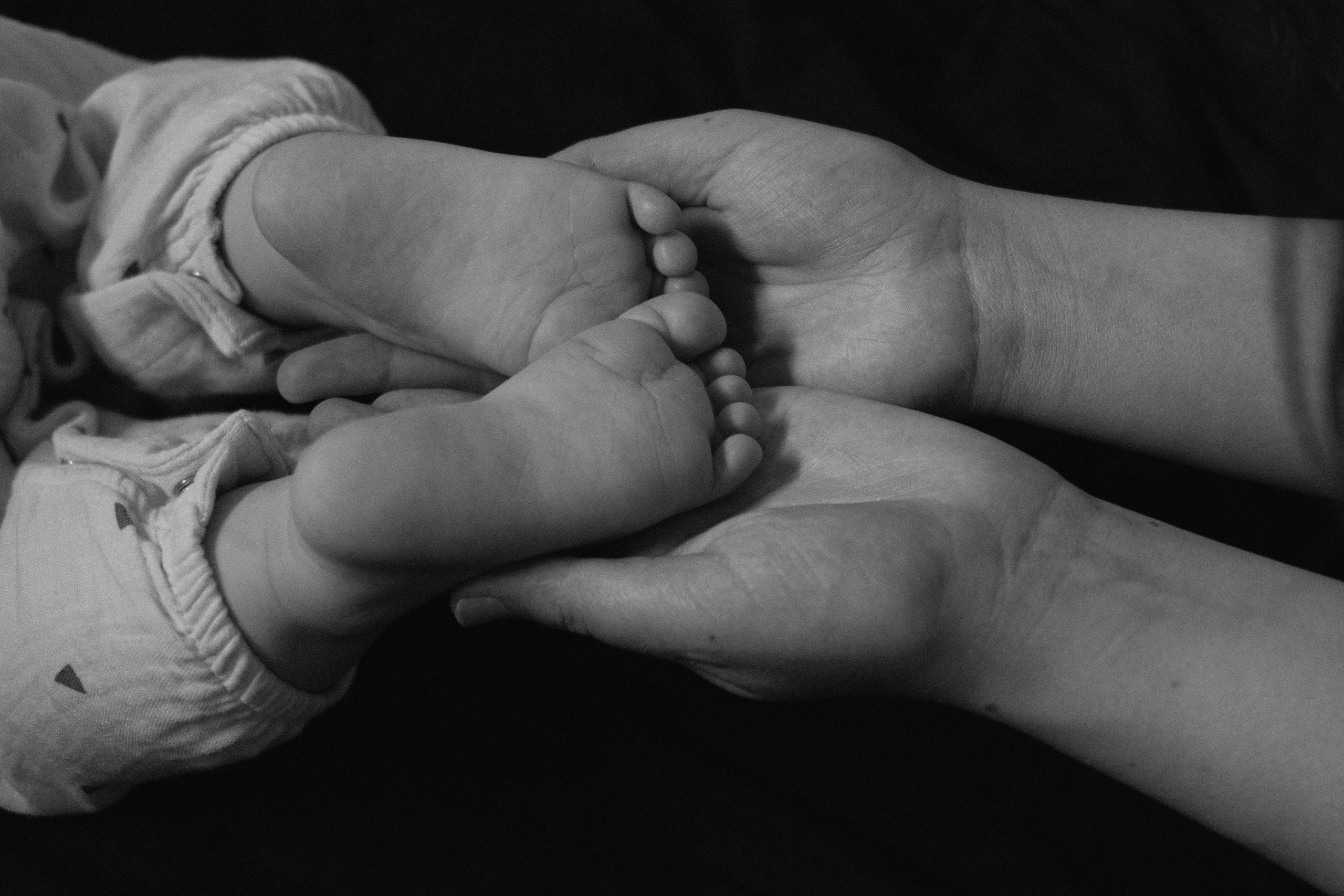 Лёве 8 месяцев. Фотограф видеограф Ольга Василевская