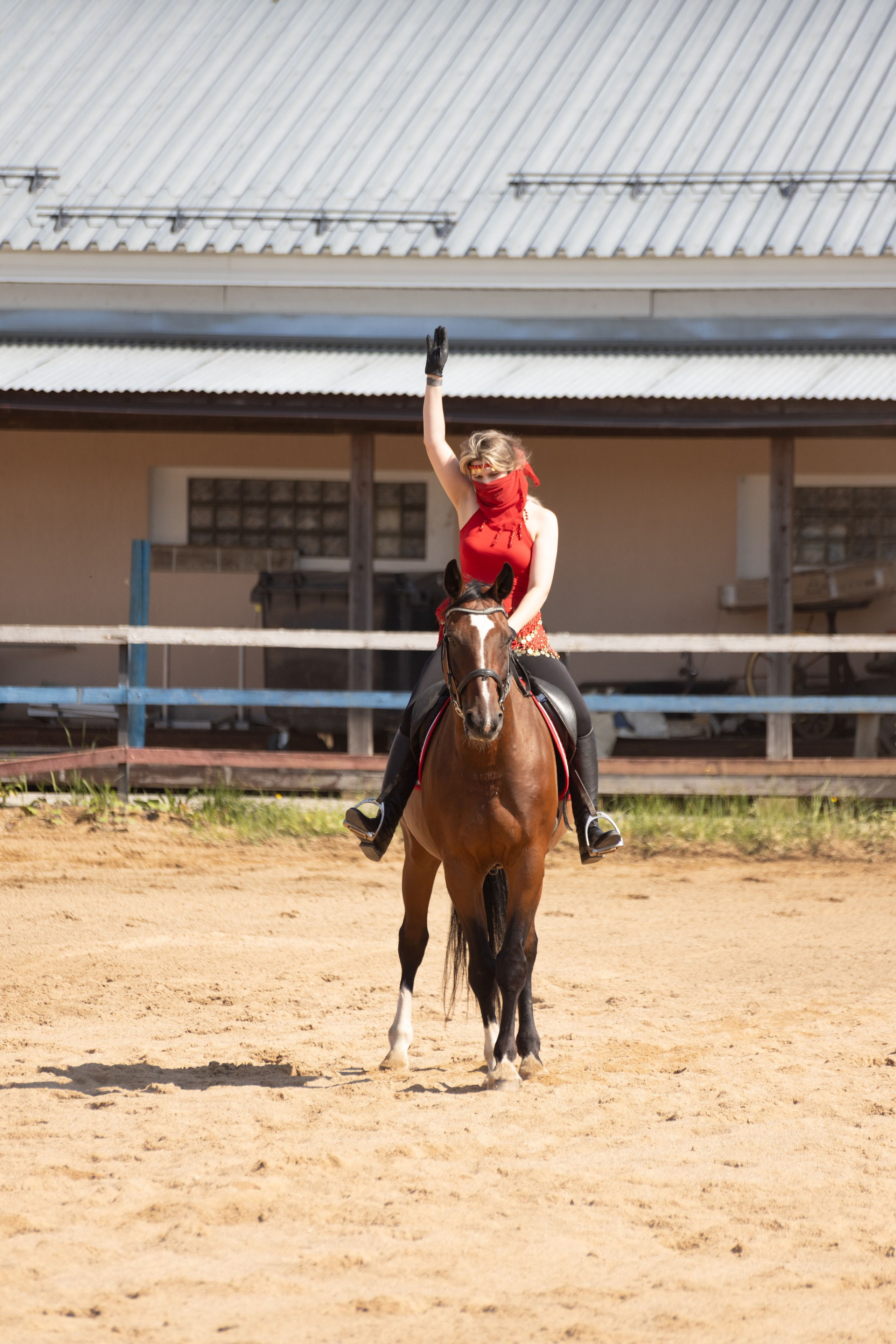 Конюшня. Фотограф в Москве и Истре