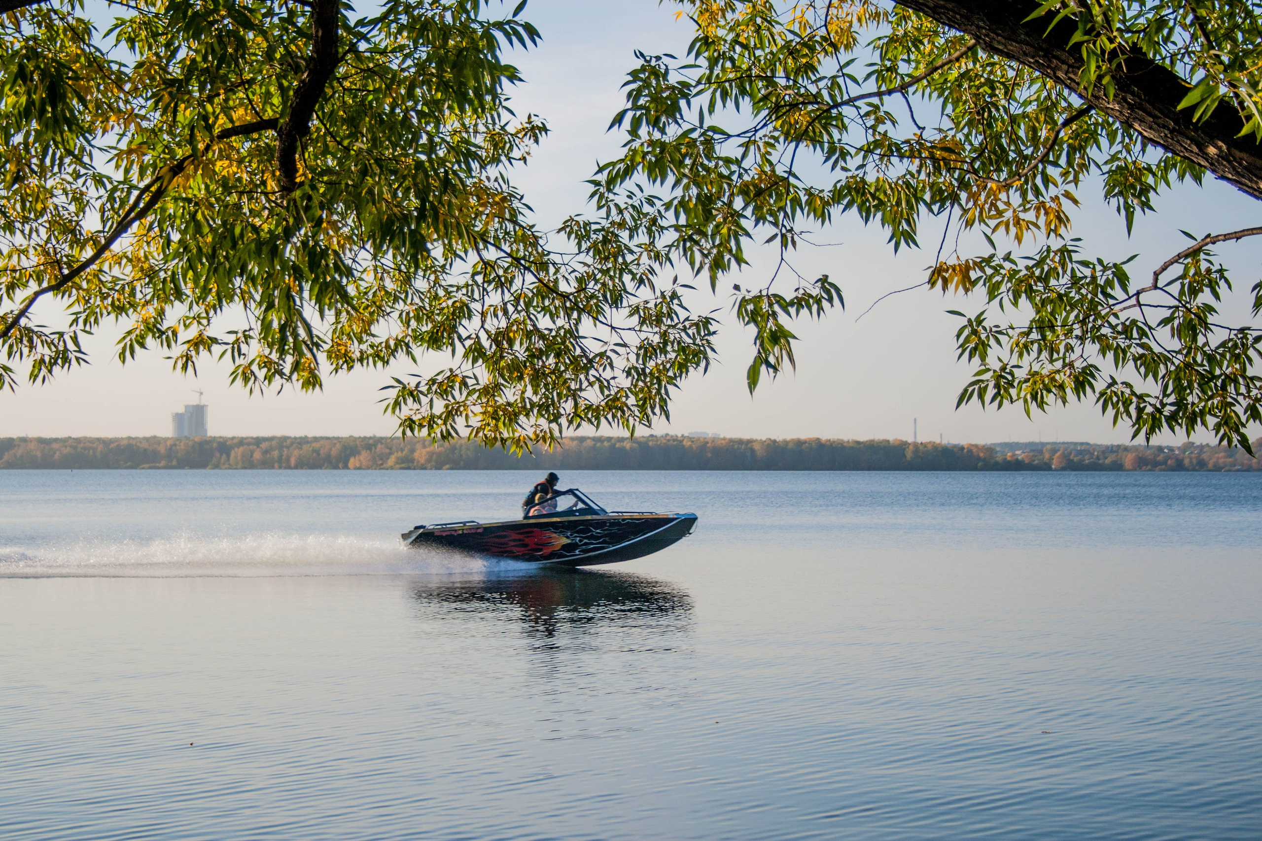 Природа. Главная