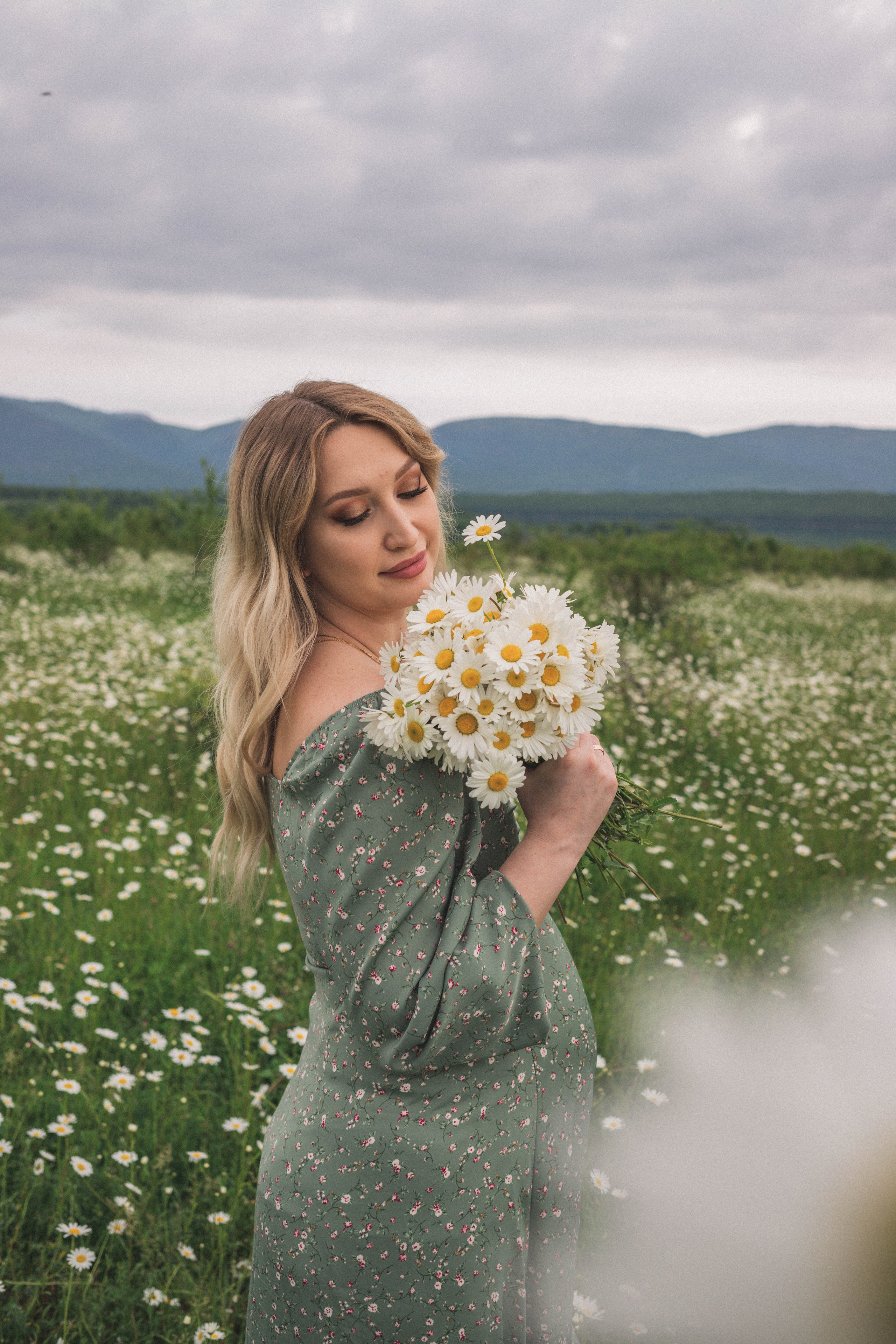 РОМАШКИ. Фотограф Немазенко Ольга