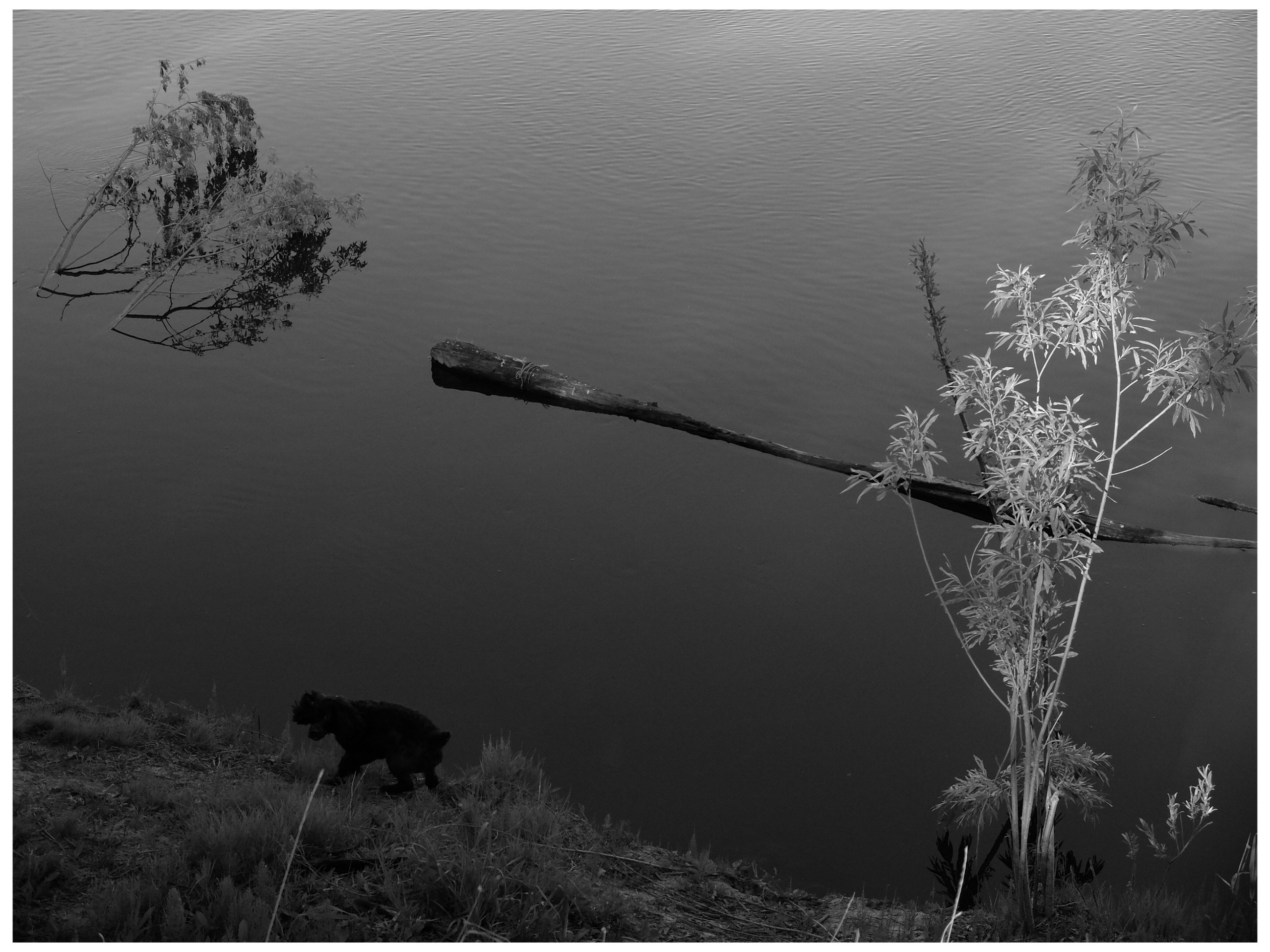 Промежуточные моменты (2022)