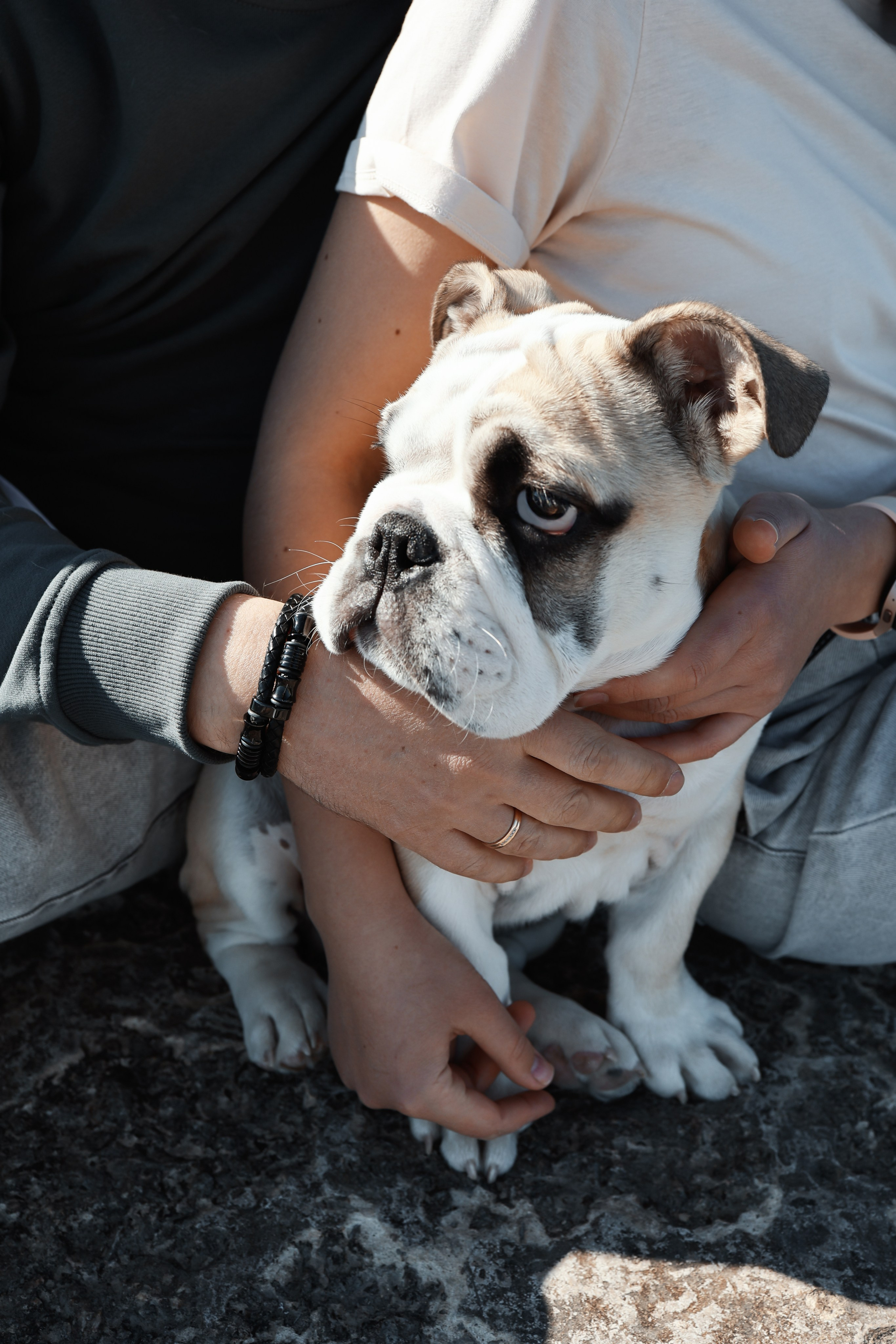 Новый член семьи. Withlovent | Фотограф в Севастополе