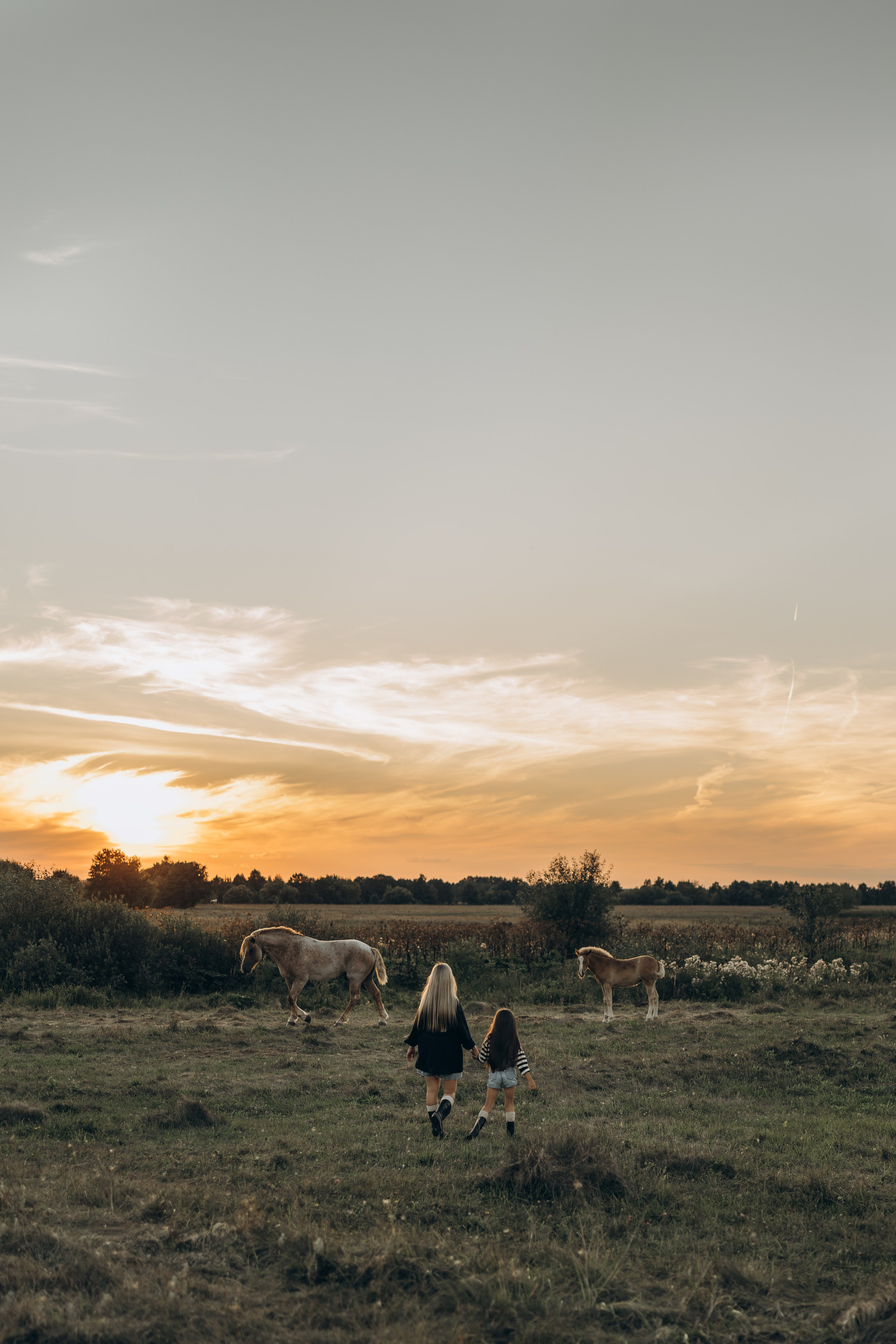 Детство, лошади, природа. Семейный фотограф Москва. Фотограф беременности и материнства Москва