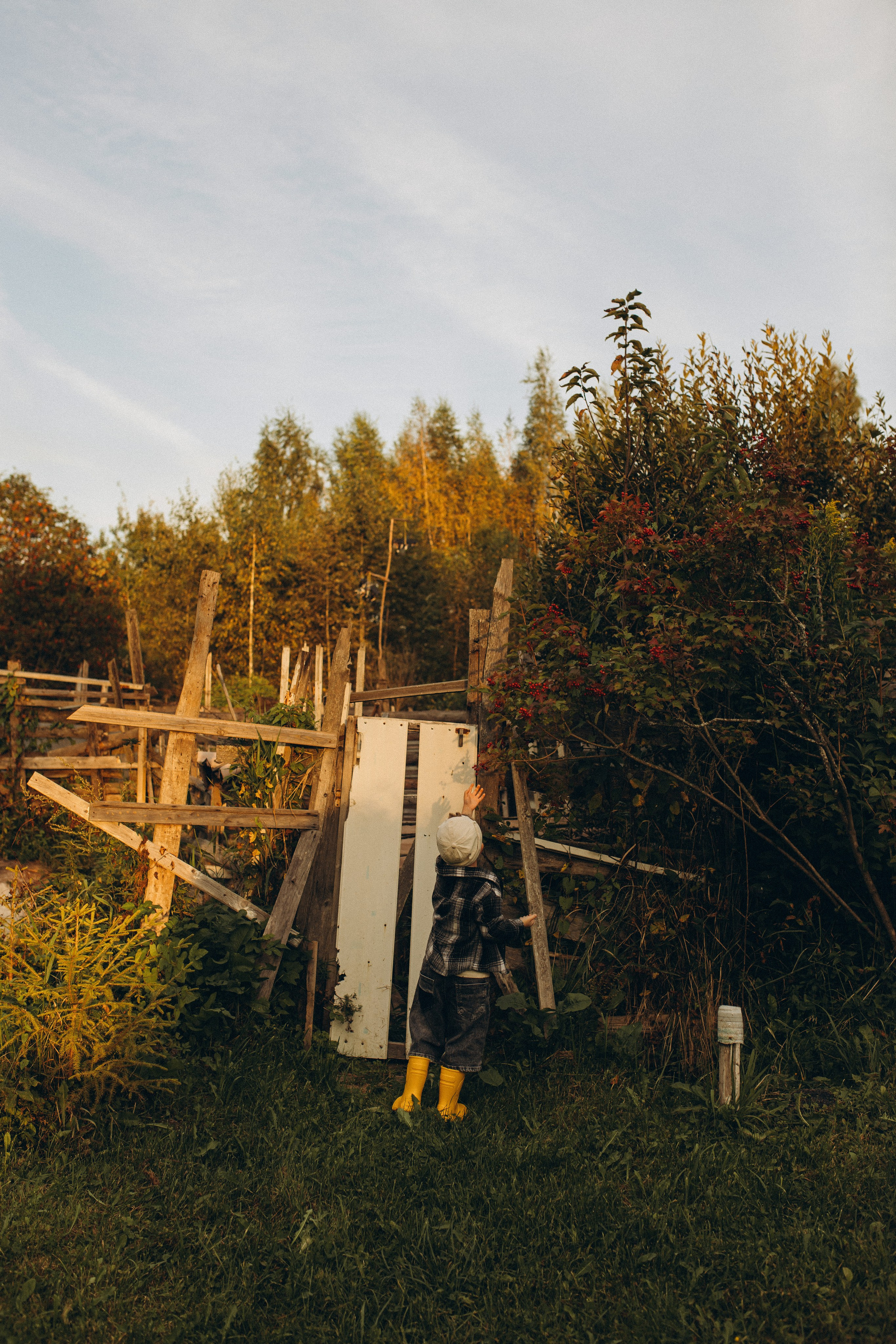 Алена и Мирон. Услуги