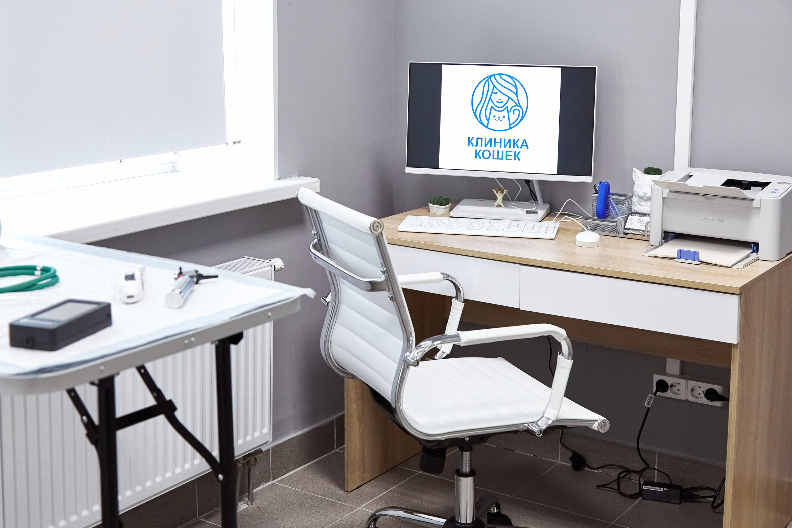 Клиника кошек. Фотограф Анастасия Леонтьева Санкт-Петербург