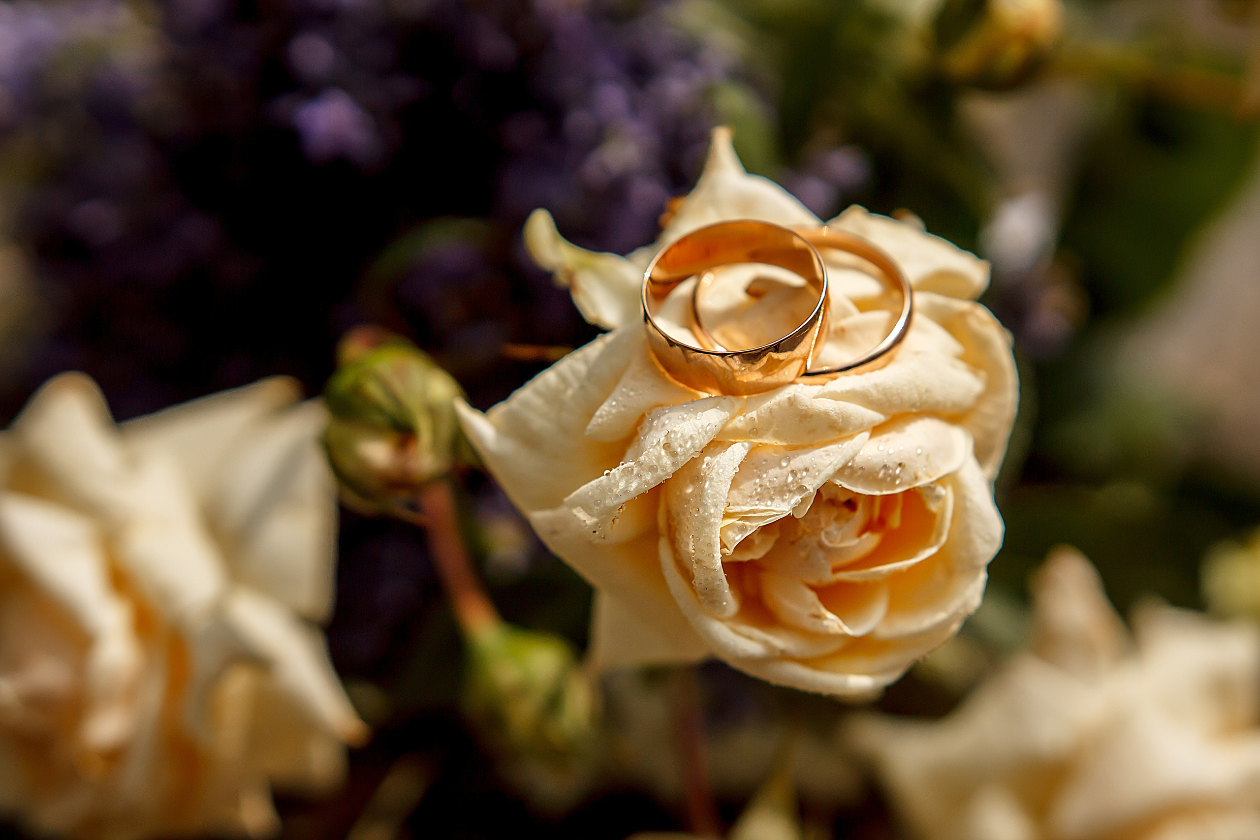 Татьяна + Евгений. Фотограф в Батуми Павел Шарников