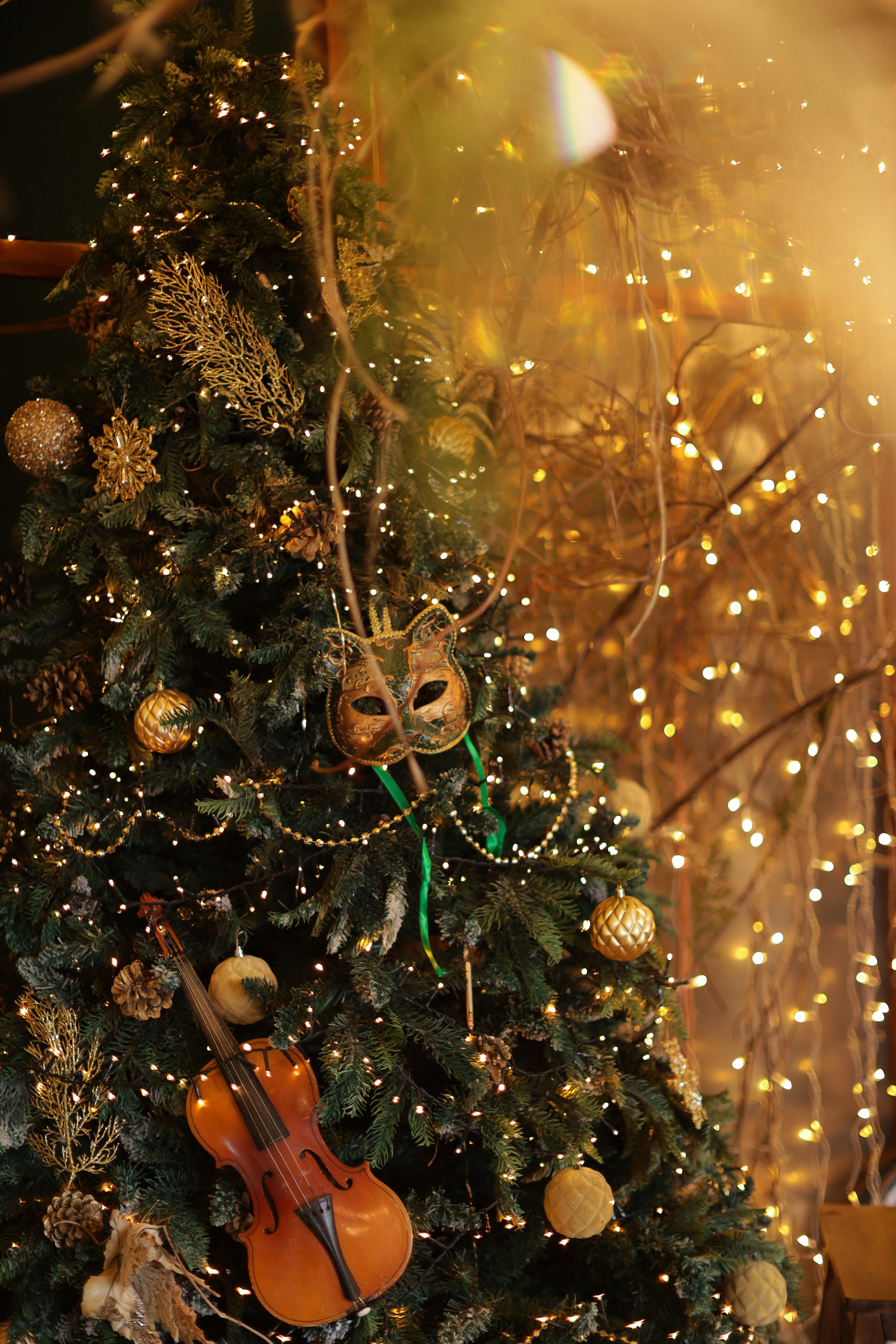 Фотостудия «Роял» зал Теплица. Свадебный фотограф в Ростове Александра Груздева