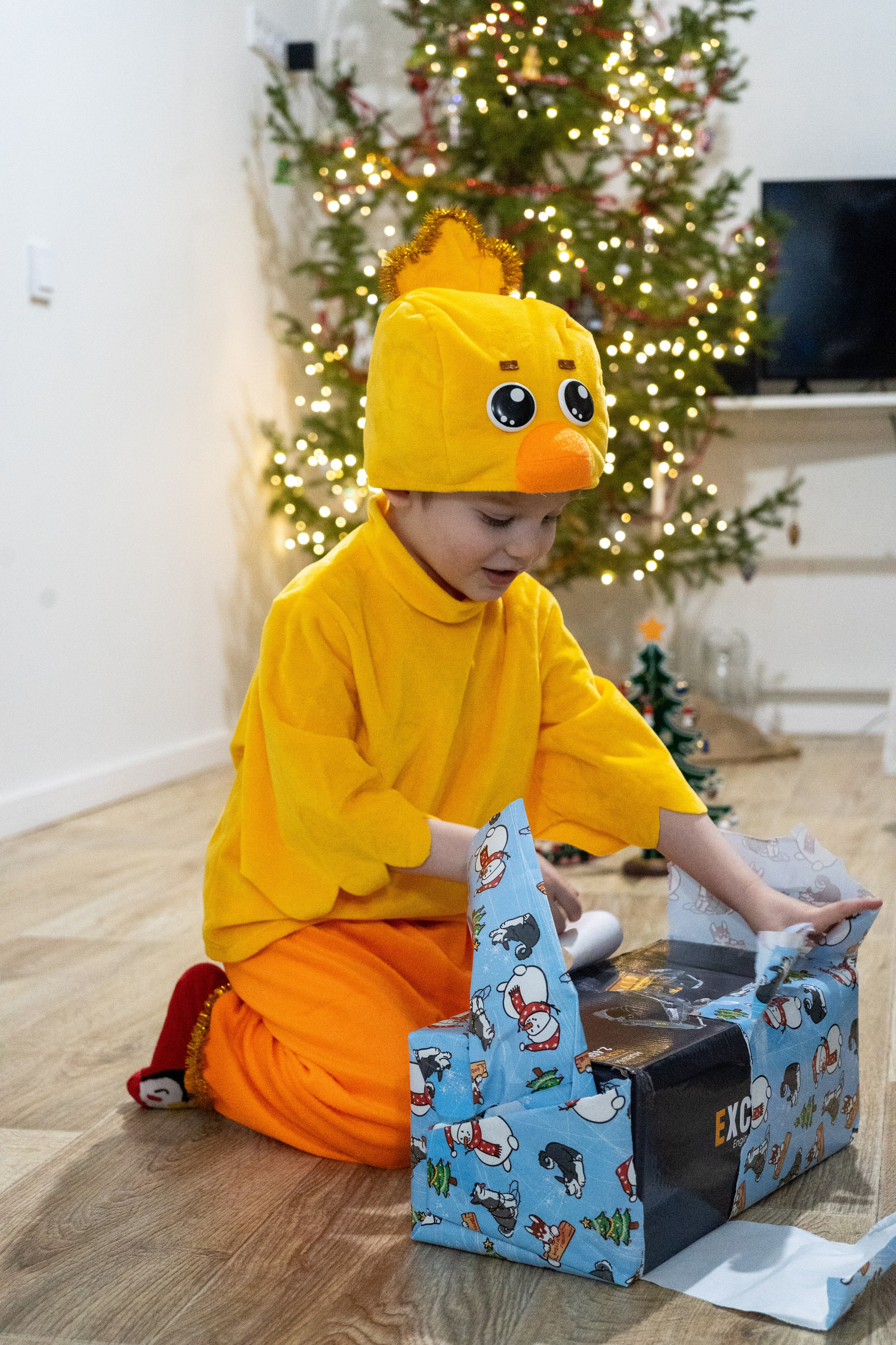 Новый год дома. Алена Коломоец | Фотограф, Мирный, Якутия