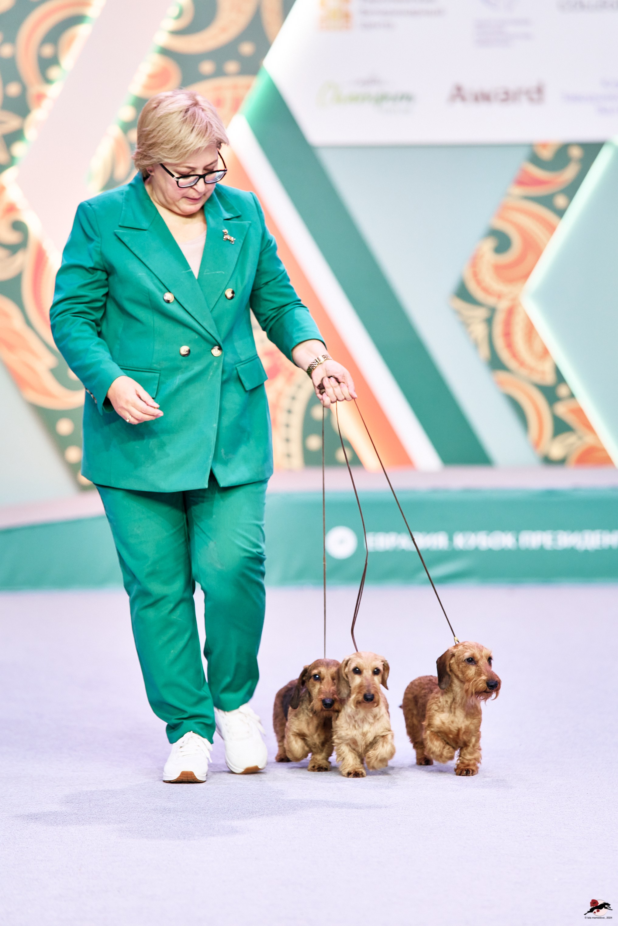 16.11.2024 «ЕВРАЗИЯ. КУБОК ПРЕЗИДЕНТА РКФ 2024»