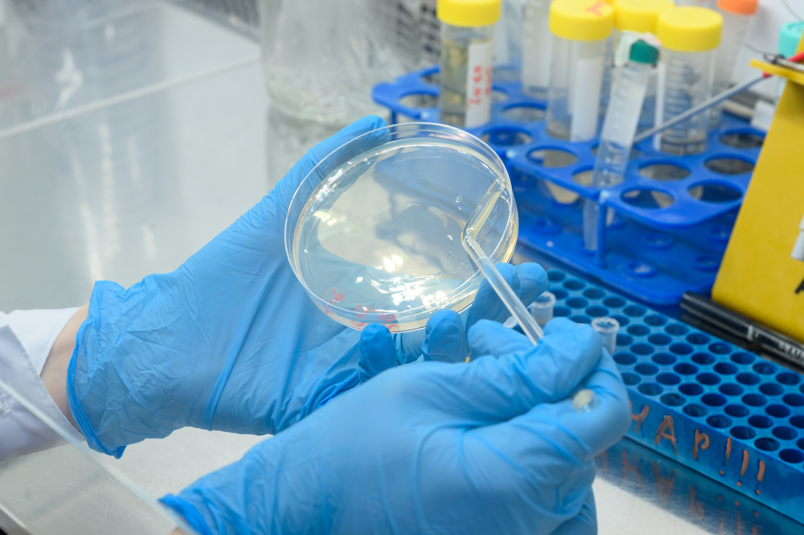 Лаборатории. Арефьева Наталья фотограф в Москве. Студийный фотограф, деловой портрет, репортаж