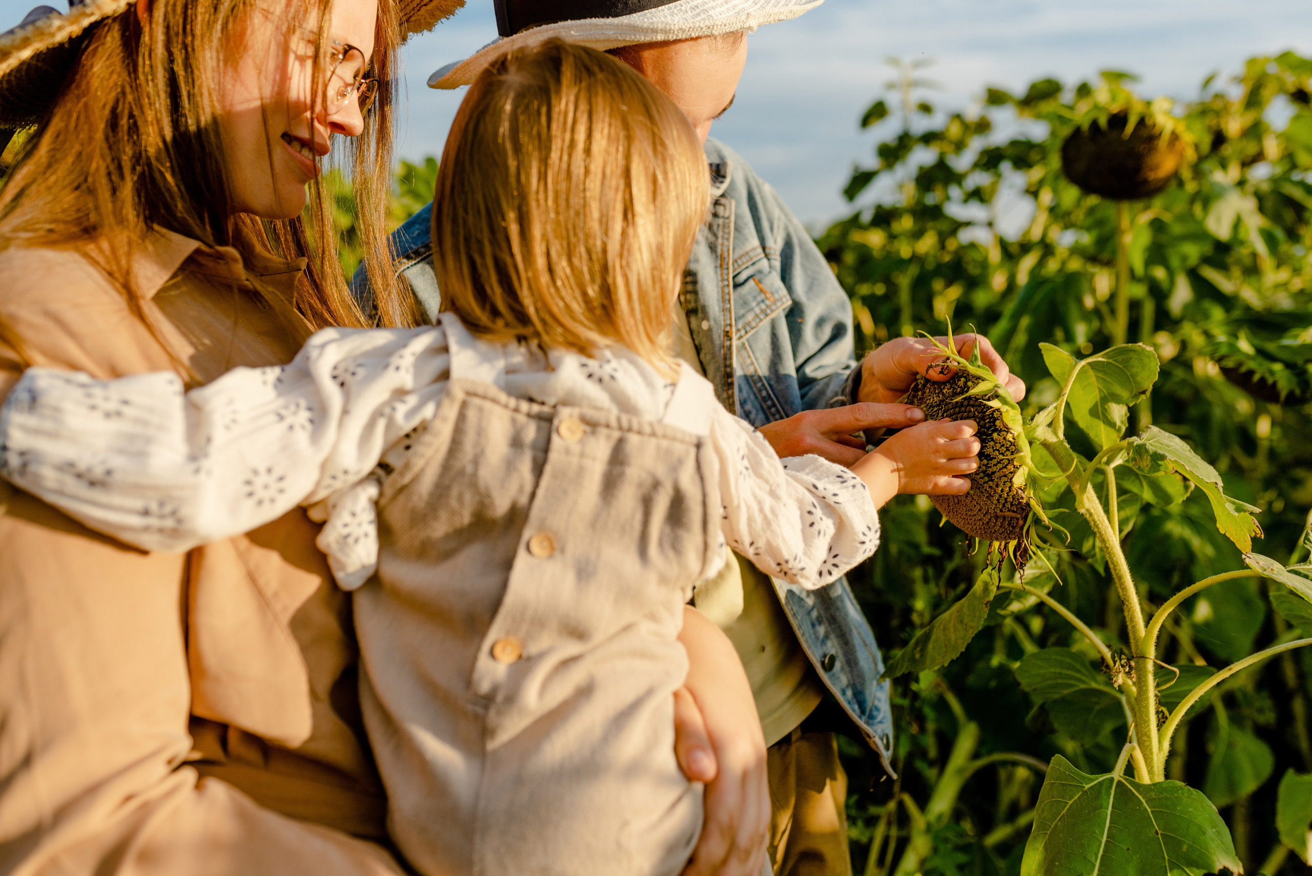 ПОДСОЛНУХИ. Шашкова Вероника / Свадебный и семейный фотограф Москва и Ярославль