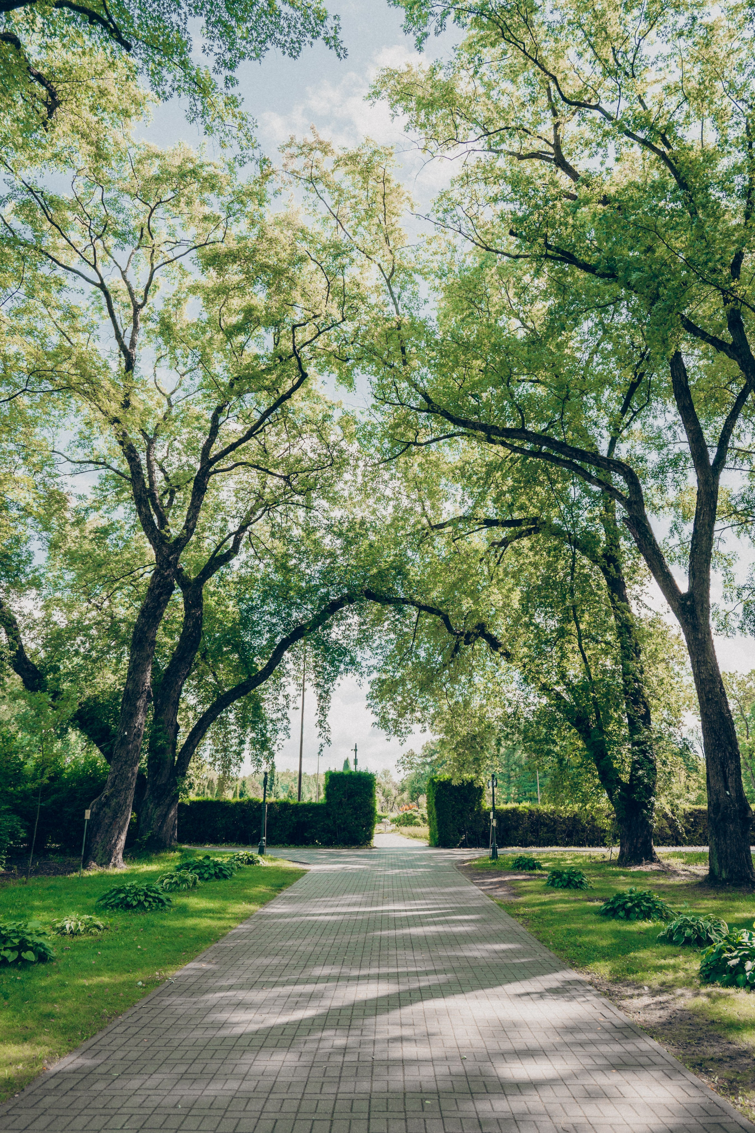 Прогулка в ботаническом саду