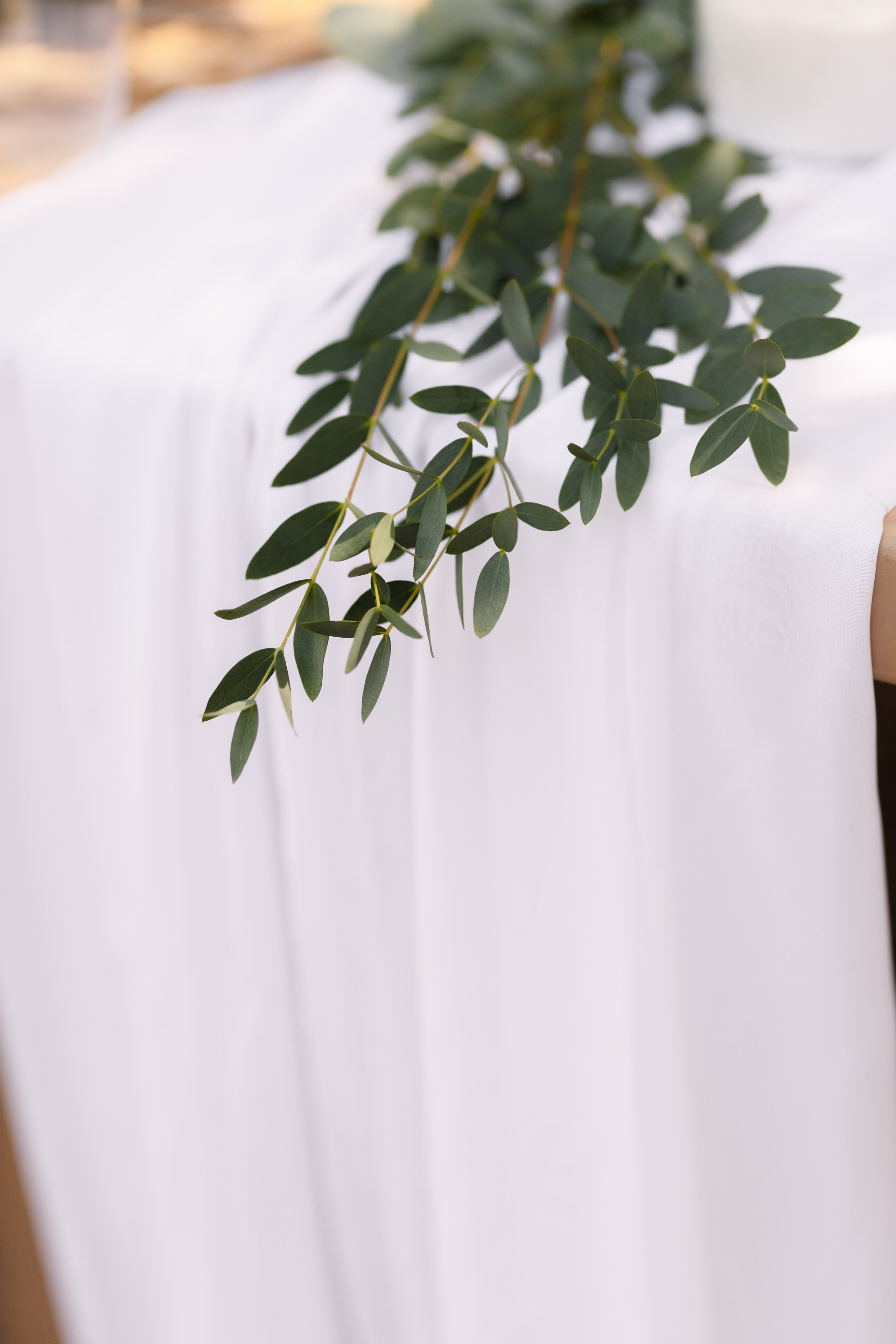 УСАДЬБА ГАНКА. Cheta Kovalevsky фотографы